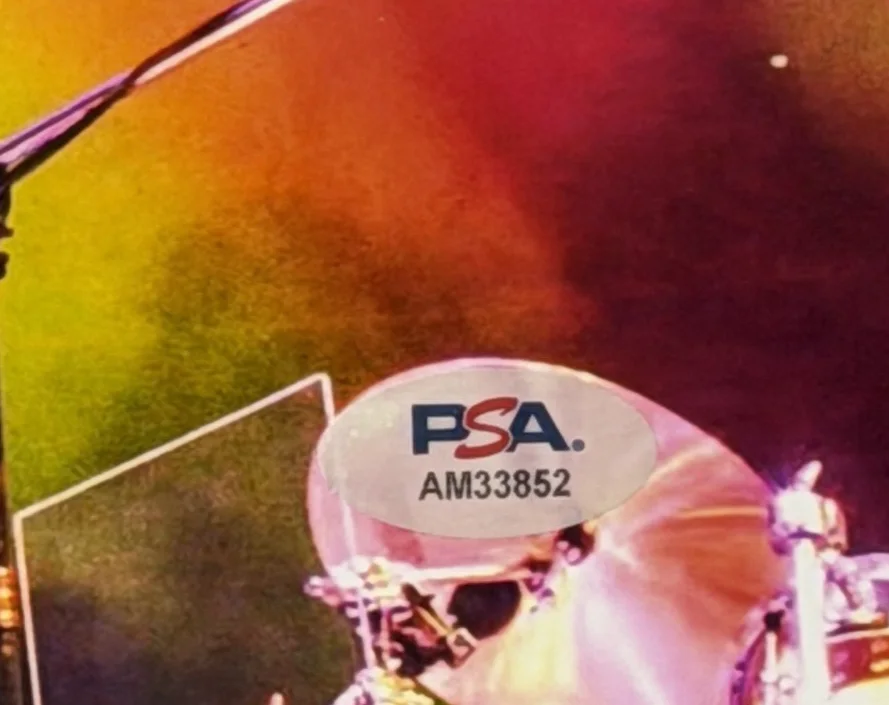 Trey Anastasio Phish Signed 8x10 Concert Photo PSA/DNA COA AM33852, изображение 4