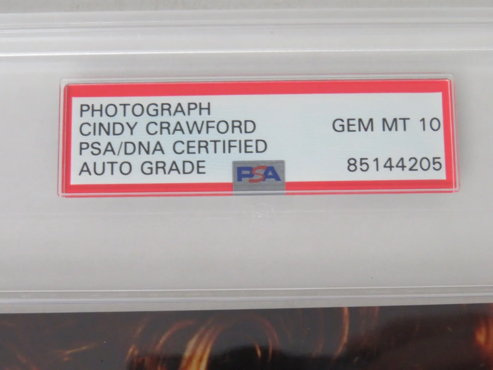 Cindy Crawford MODEL Signed Autograph 8x10 Photo Slab JSA PSA 10 Auto, изображение 4