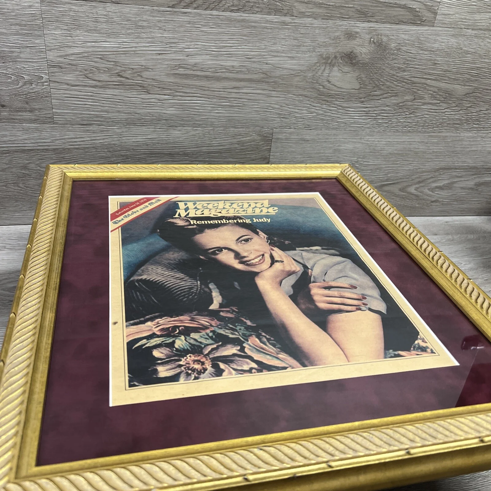 VTG Judy Garland Special Tribute 1979 Issue Collectors Professional Framed 16x18, изображение 3