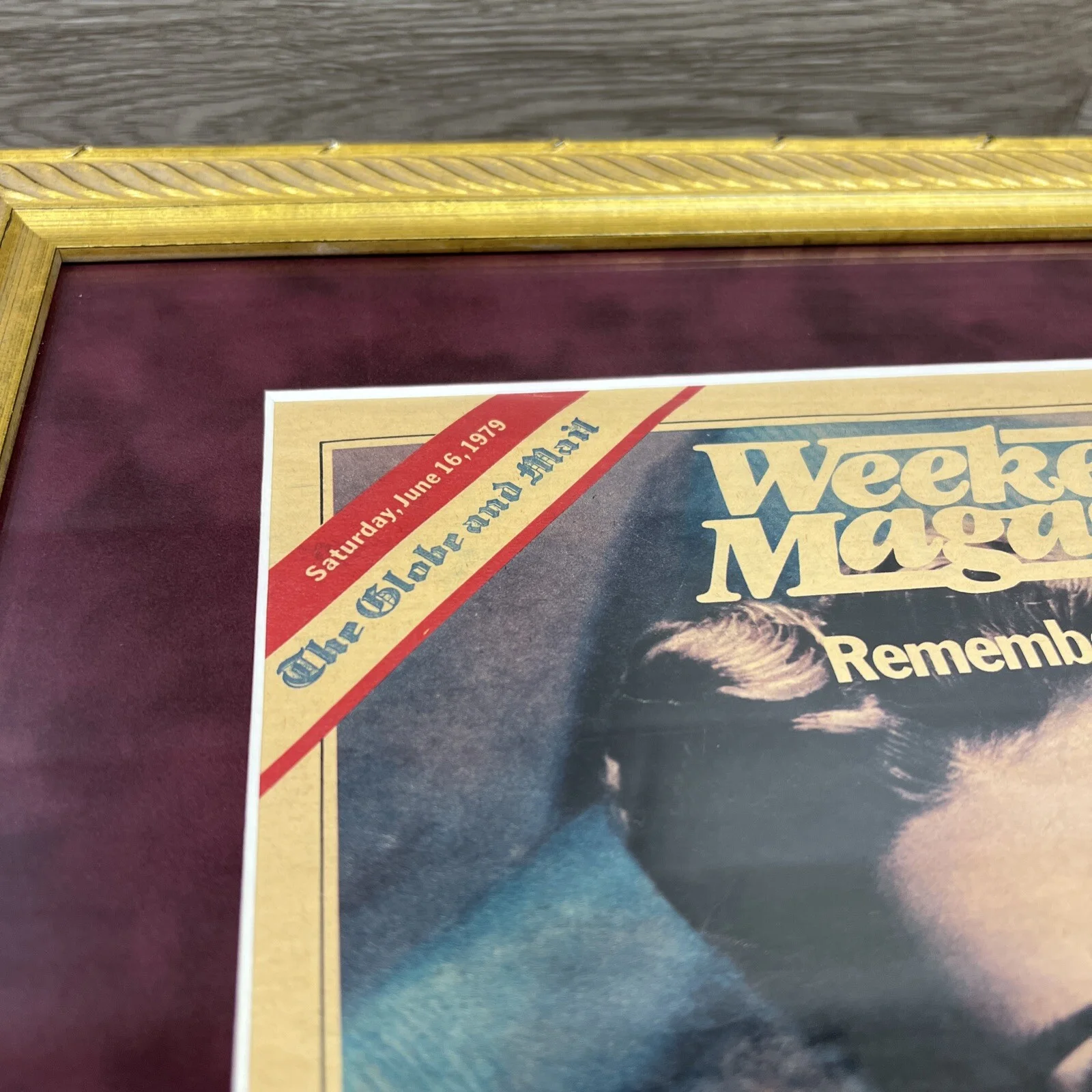 VTG Judy Garland Special Tribute 1979 Issue Collectors Professional Framed 16x18, изображение 4