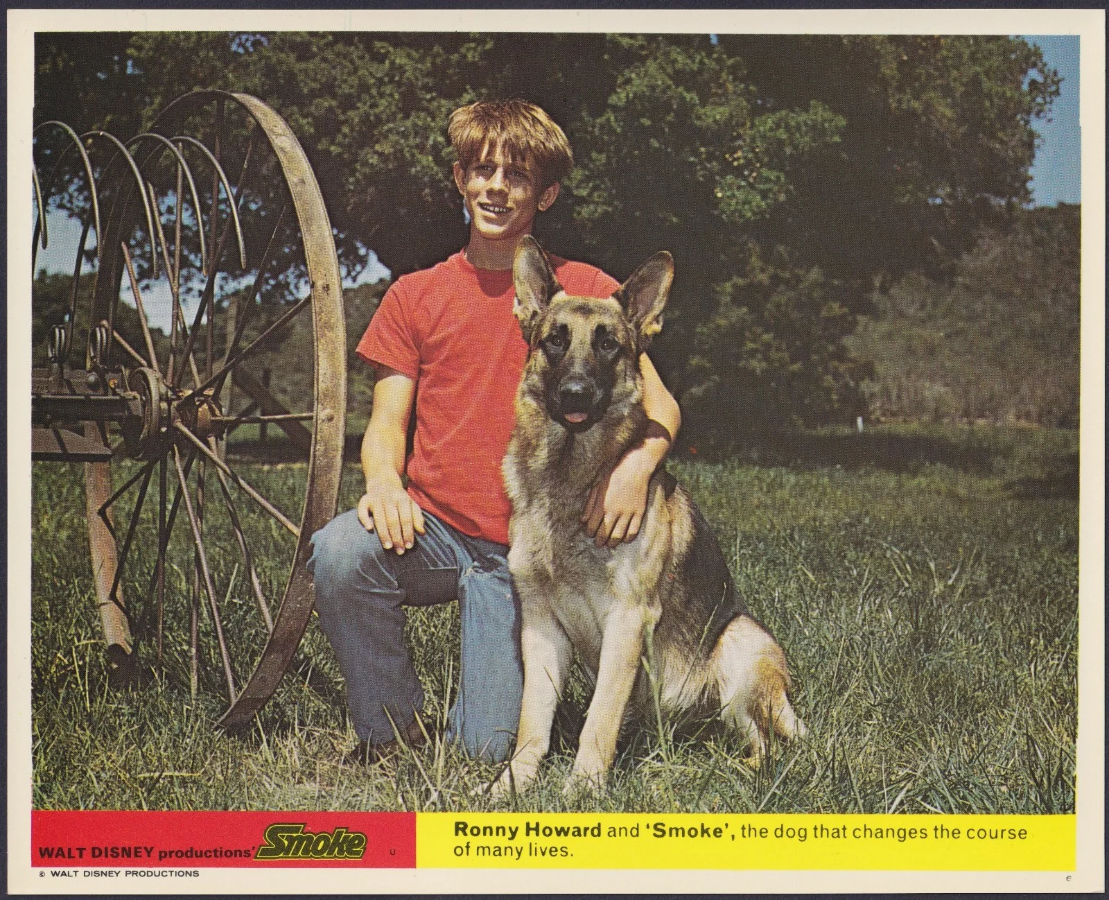 Smoke 8x ORIGINAL UK FOH Lobby Cards Walt Disney Ron Howard 1970, изображение 2