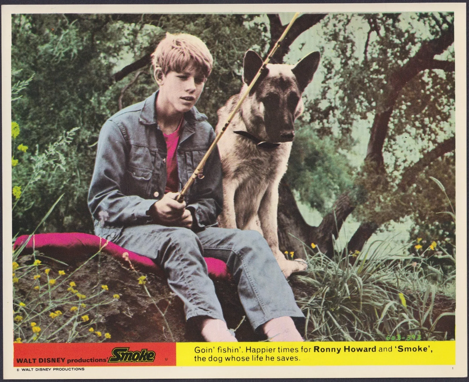 Smoke 8x ORIGINAL UK FOH Lobby Cards Walt Disney Ron Howard 1970, изображение 3