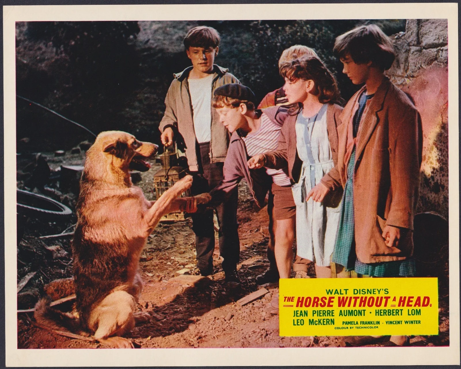 Horse Without A Head 8x ORIGINAL UK FOH Lobby Cards Disney Herbert Lom 1963, изображение 2