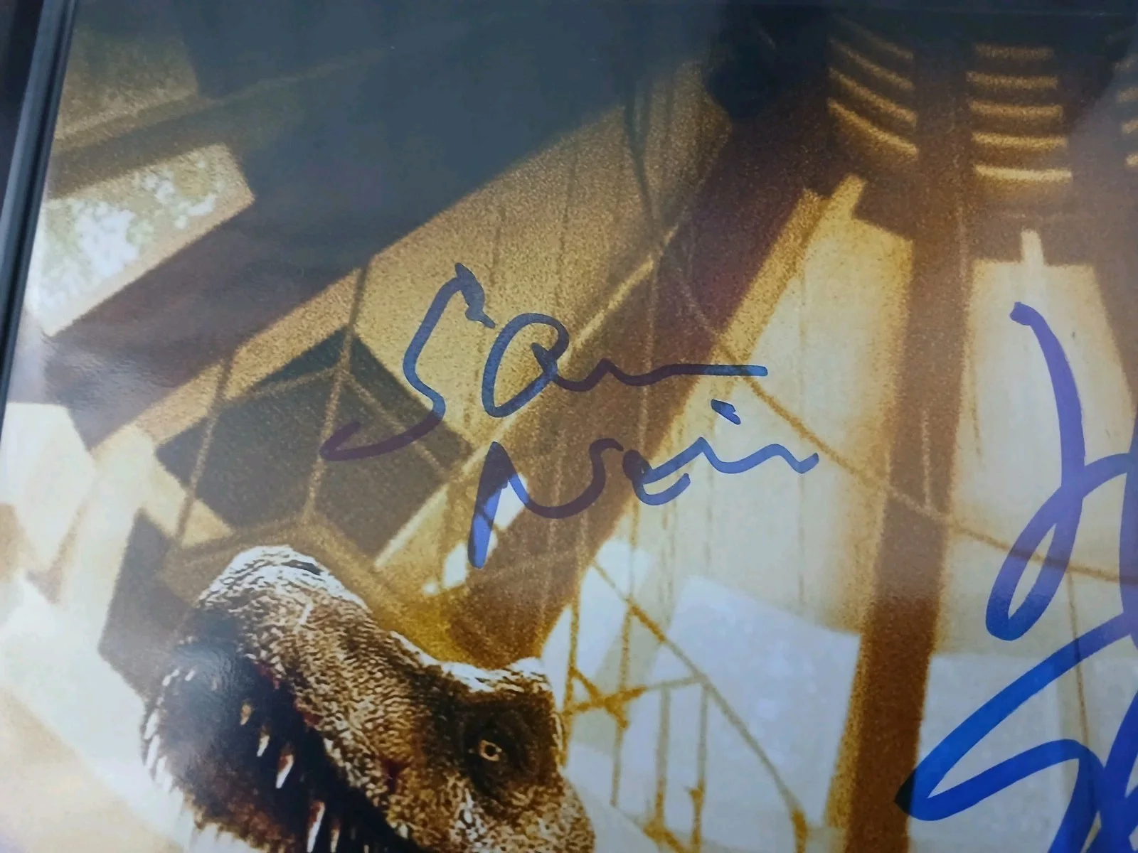 Sam Neill, Laura Dern, Jeff Goldblum — Sam Neill, Jeff Goldblum & Laura Dern Signed Jurassic Park 11x14, CA COA, SWAU, изображение 3