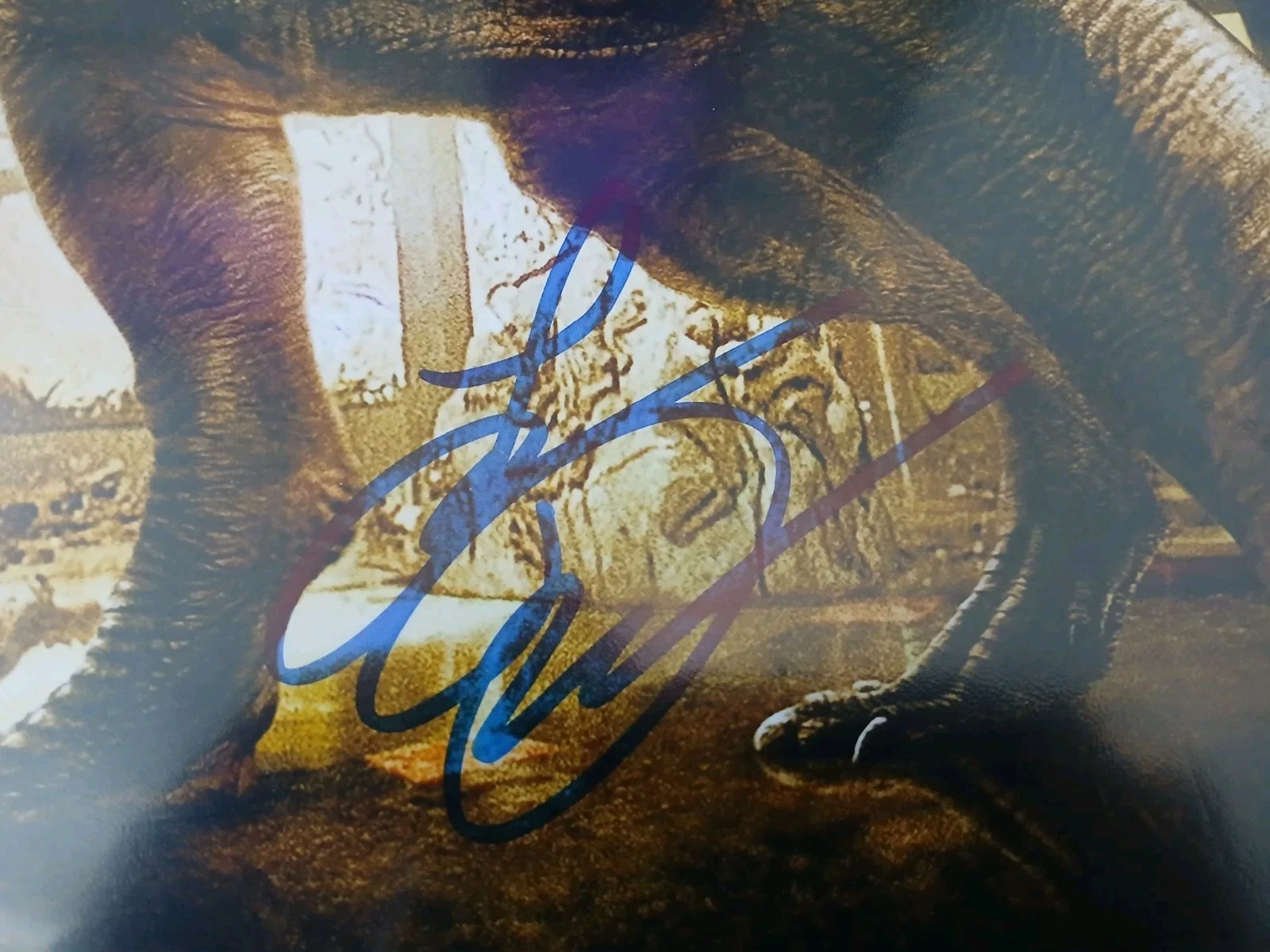 Sam Neill, Laura Dern, Jeff Goldblum — Sam Neill, Jeff Goldblum & Laura Dern Signed Jurassic Park 11x14, CA COA, SWAU, изображение 5