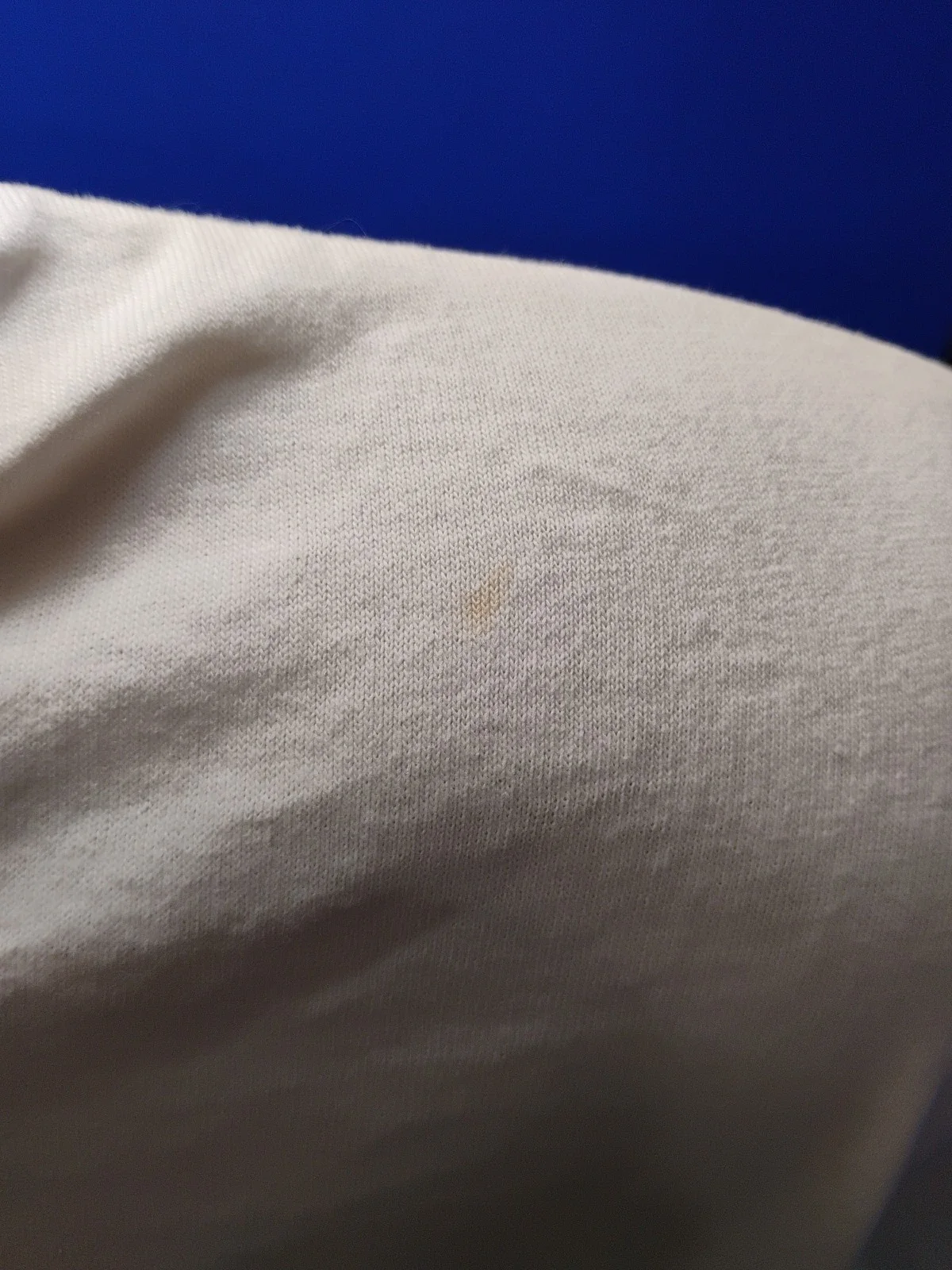 LeAnn Rimes Signed Autographed White Double Sided T-shirt Heavy Cotton Size XL, image 4