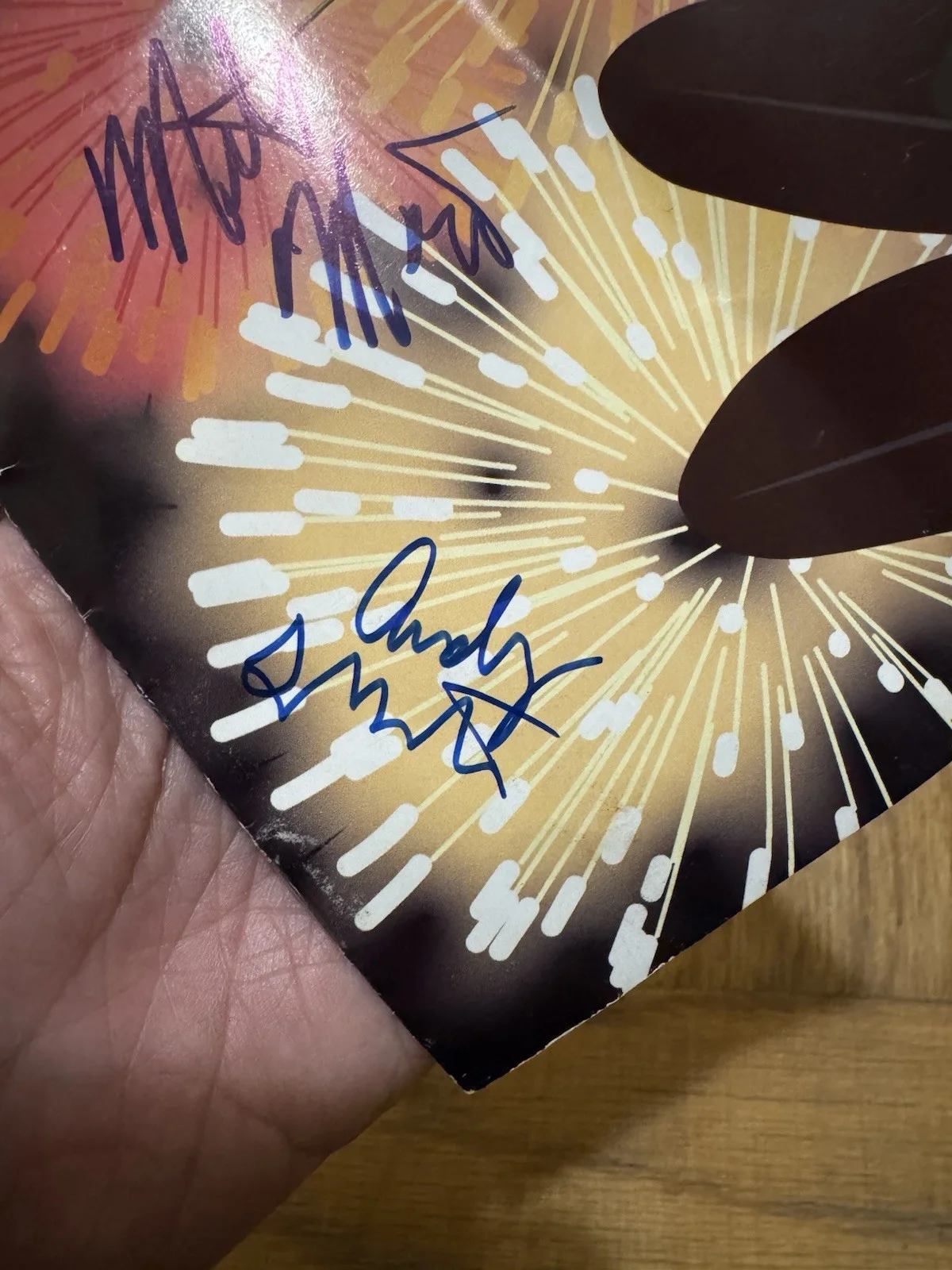 M Ward & Andy LeMaster Signed Autograph CD Insert Bright Eyes Monsters Of Folk, image 2