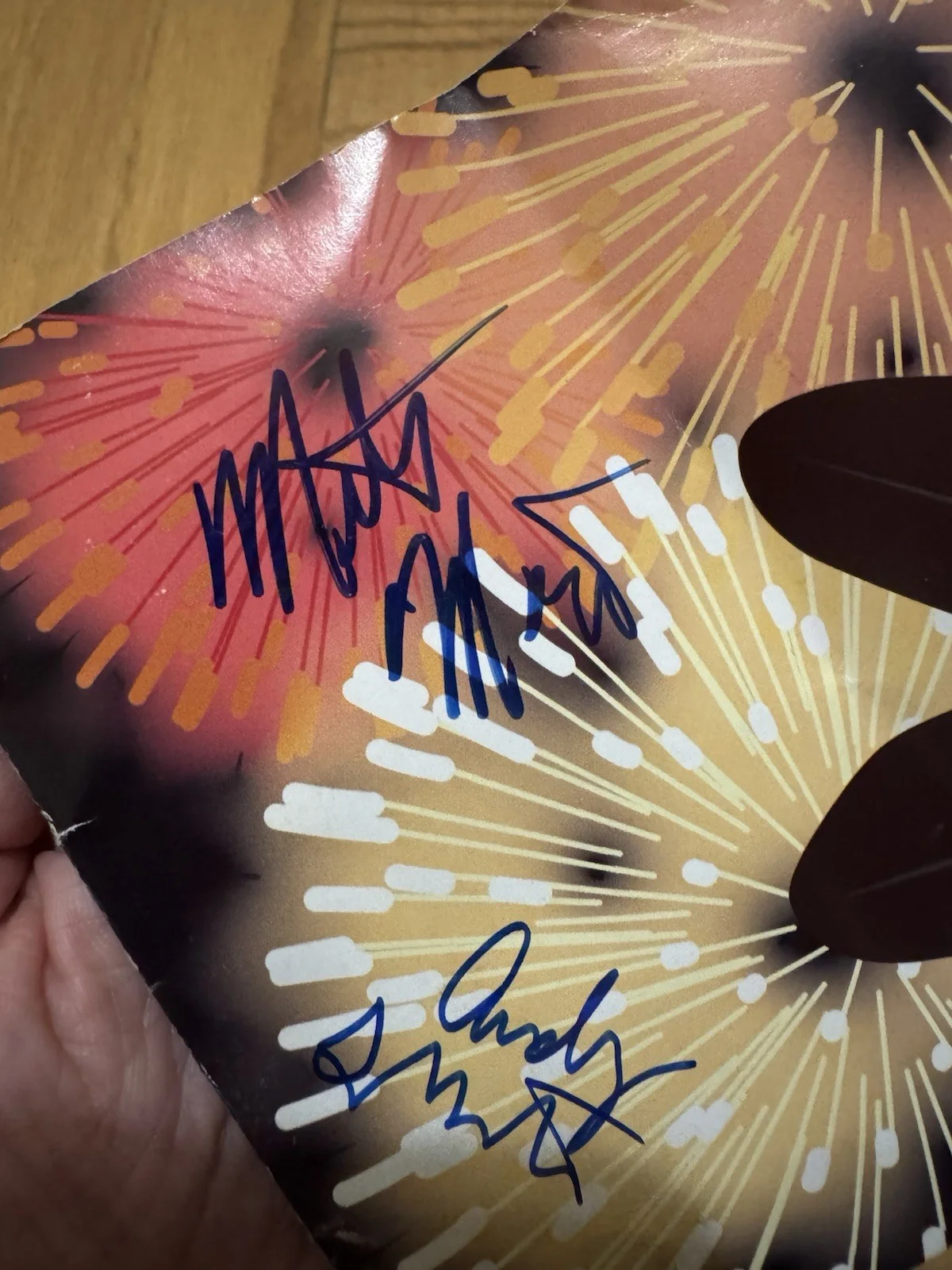 M Ward & Andy LeMaster Signed Autograph CD Insert Bright Eyes Monsters Of Folk, image 3
