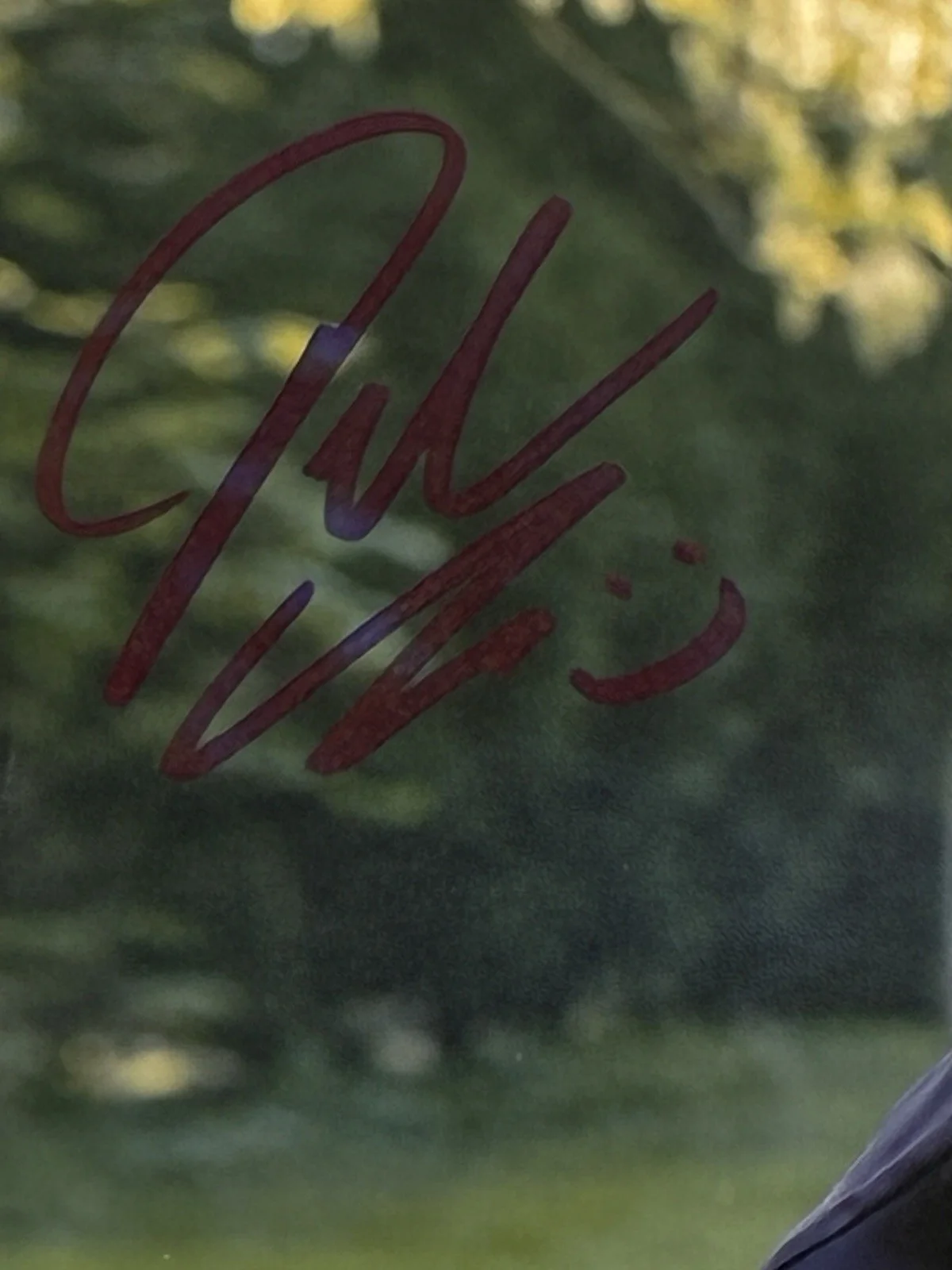 Danica McKellar — DANICA McKELLAR ACTRESS SIGNED 8X10 PHOTO TV SHOW HOW I MET YOUR MOTHER JSA, изображение 3