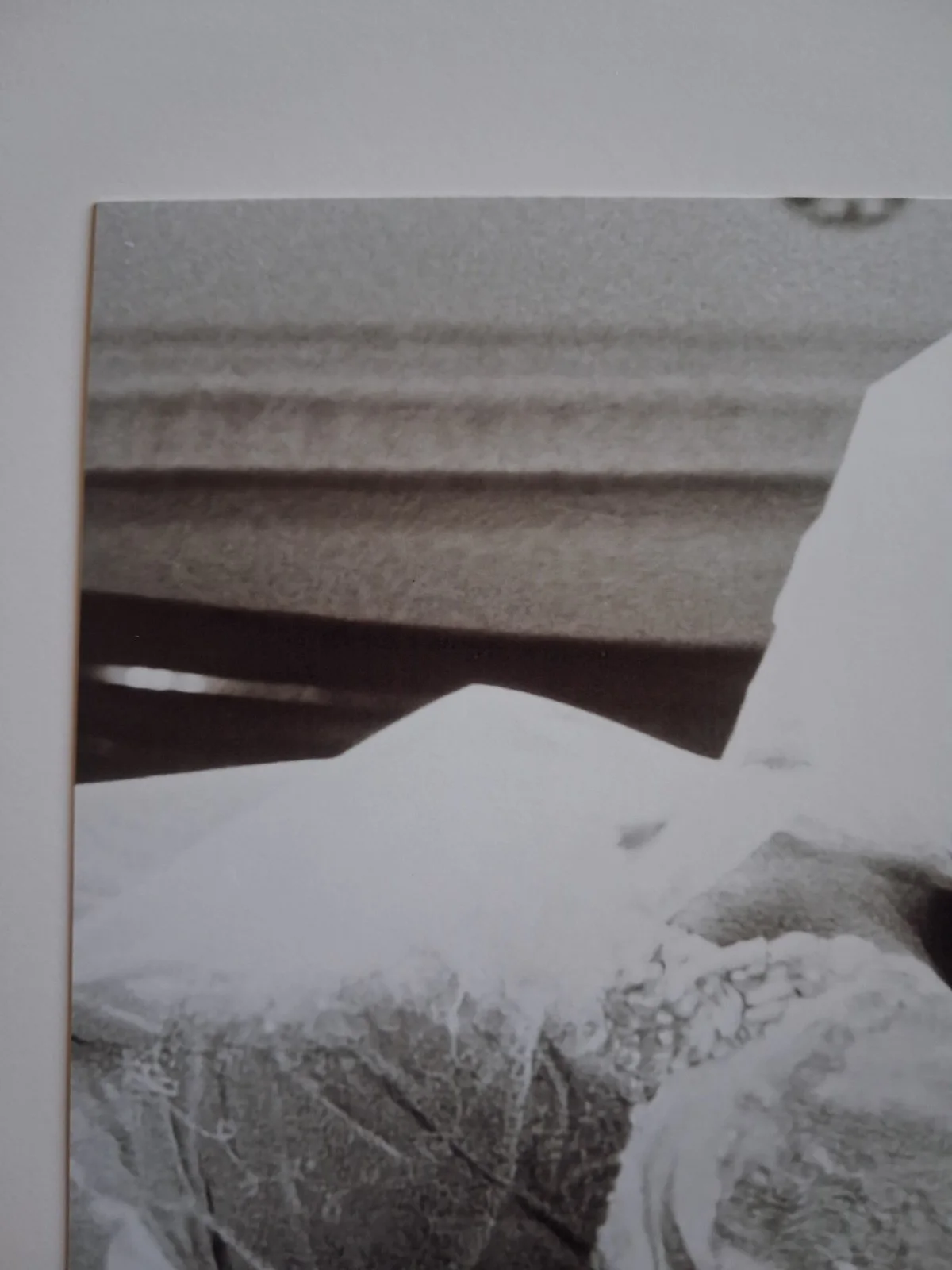 SOPHIE THOMPSON 4 WEDDINGS & A FUNERAL Genuine hand signed autograph 8x10 photo, изображение 4