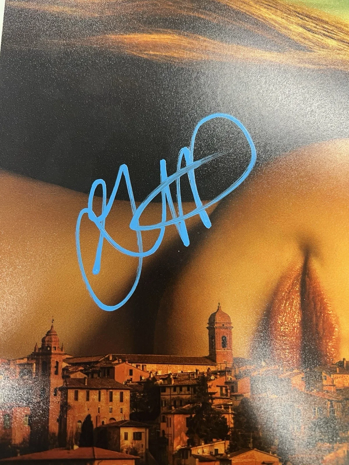Grace Van Patten signed The Twisted Tale of Amanda Knox 11x14 photo w/ JSA COA, изображение 2