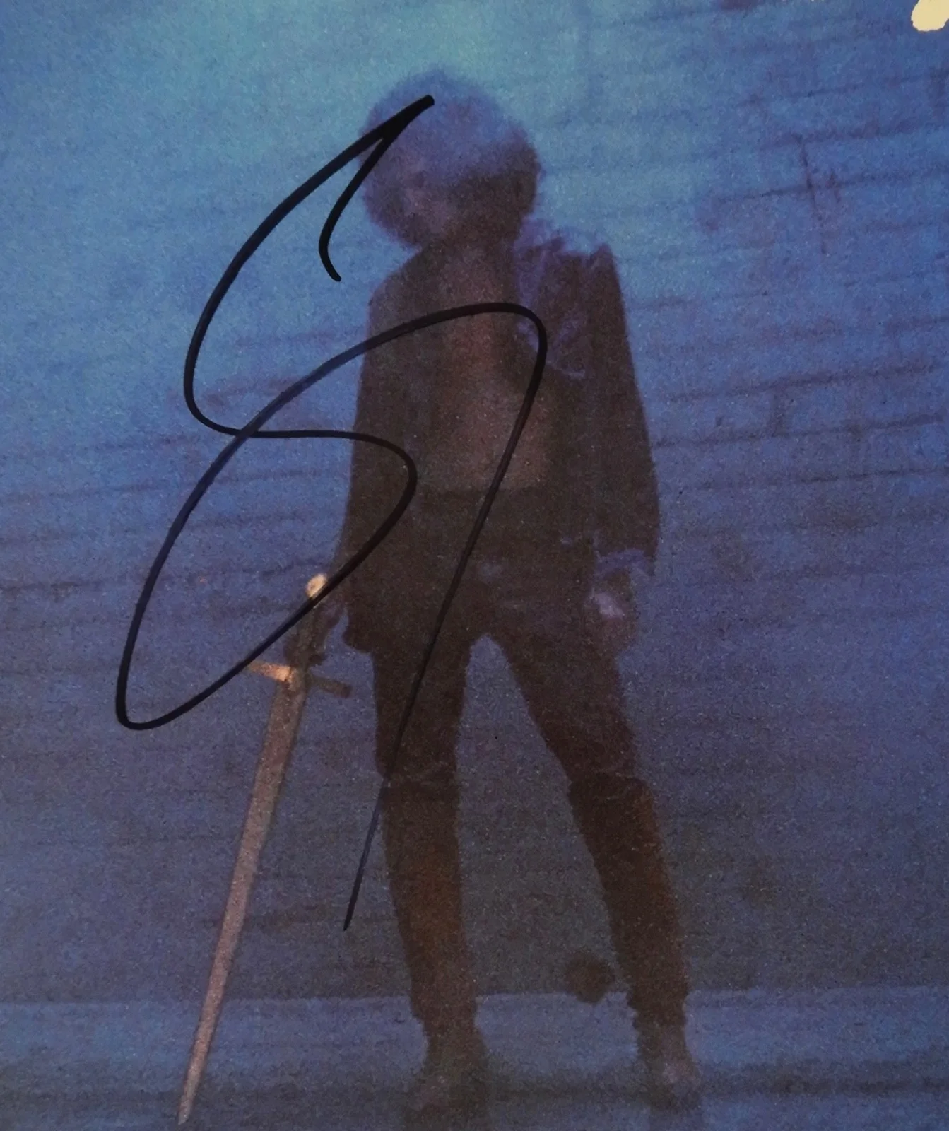 Toto Steve Lukather JSA Signed Autograph Record Album Vinyl Hydra, image 2