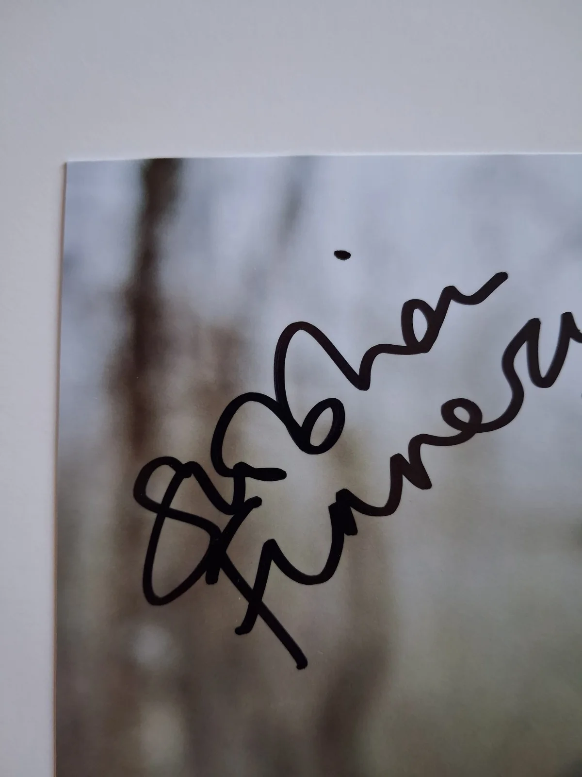 SIOBHAN FINNERAN in DOCTOR WHO - Genuine hand signed autograph 8x10 photo, изображение 5