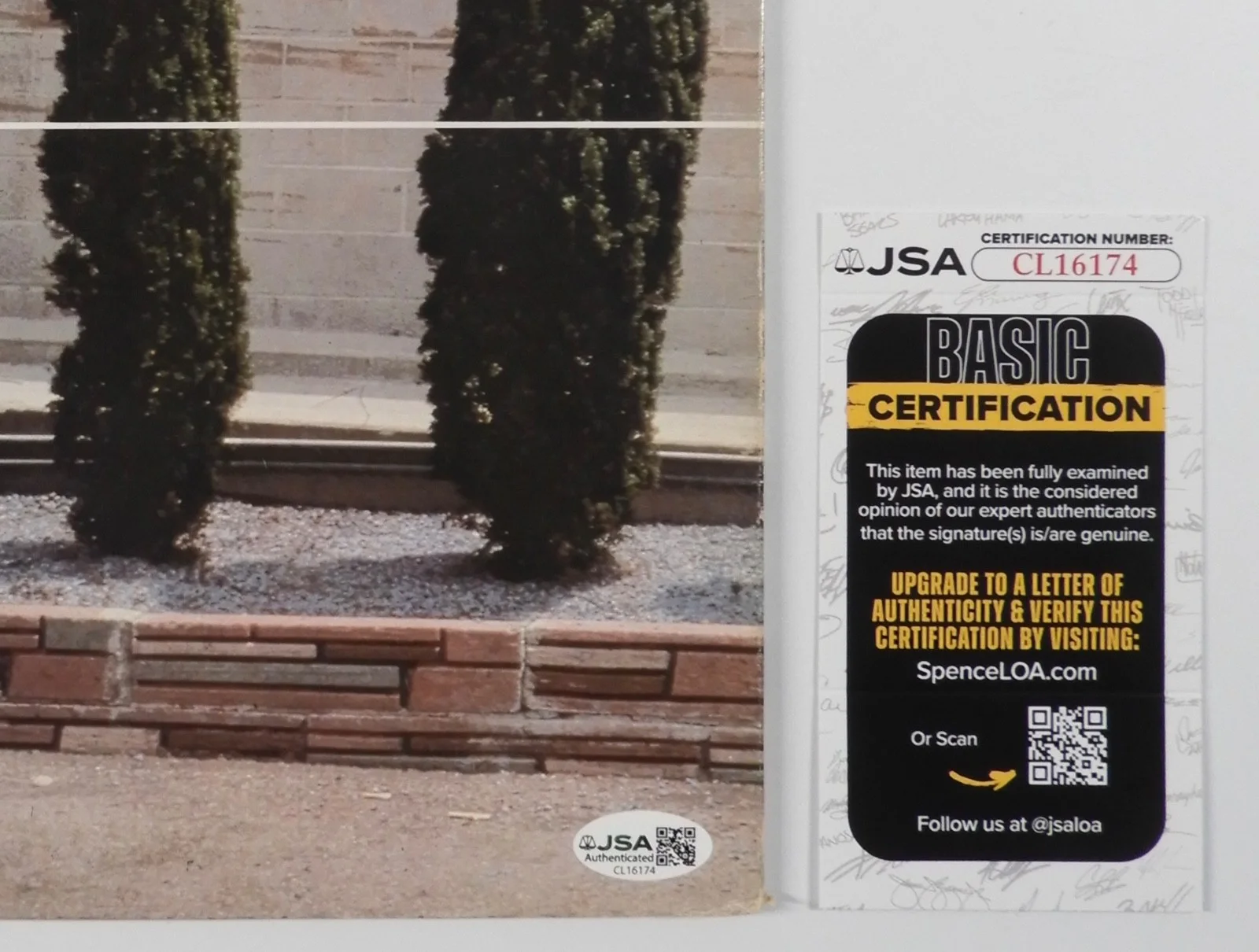 Elvis Costello JSA Signed Autograph Album Record Vinyl Taking Liberties, image 3