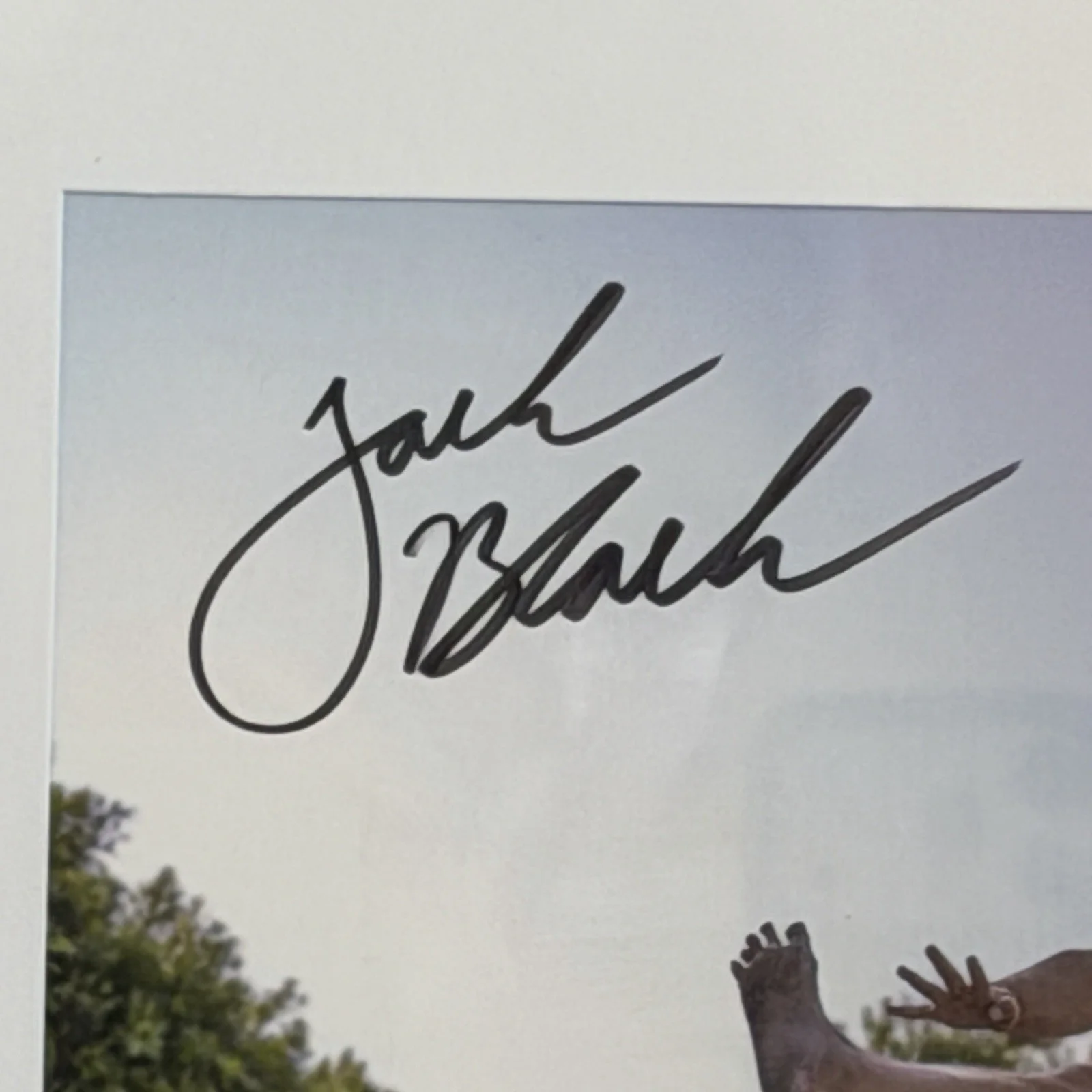 Jack Black — Jack Black Signed Skateboarding Photo Framed Autograph NM Rare Charity Picture, изображение 2