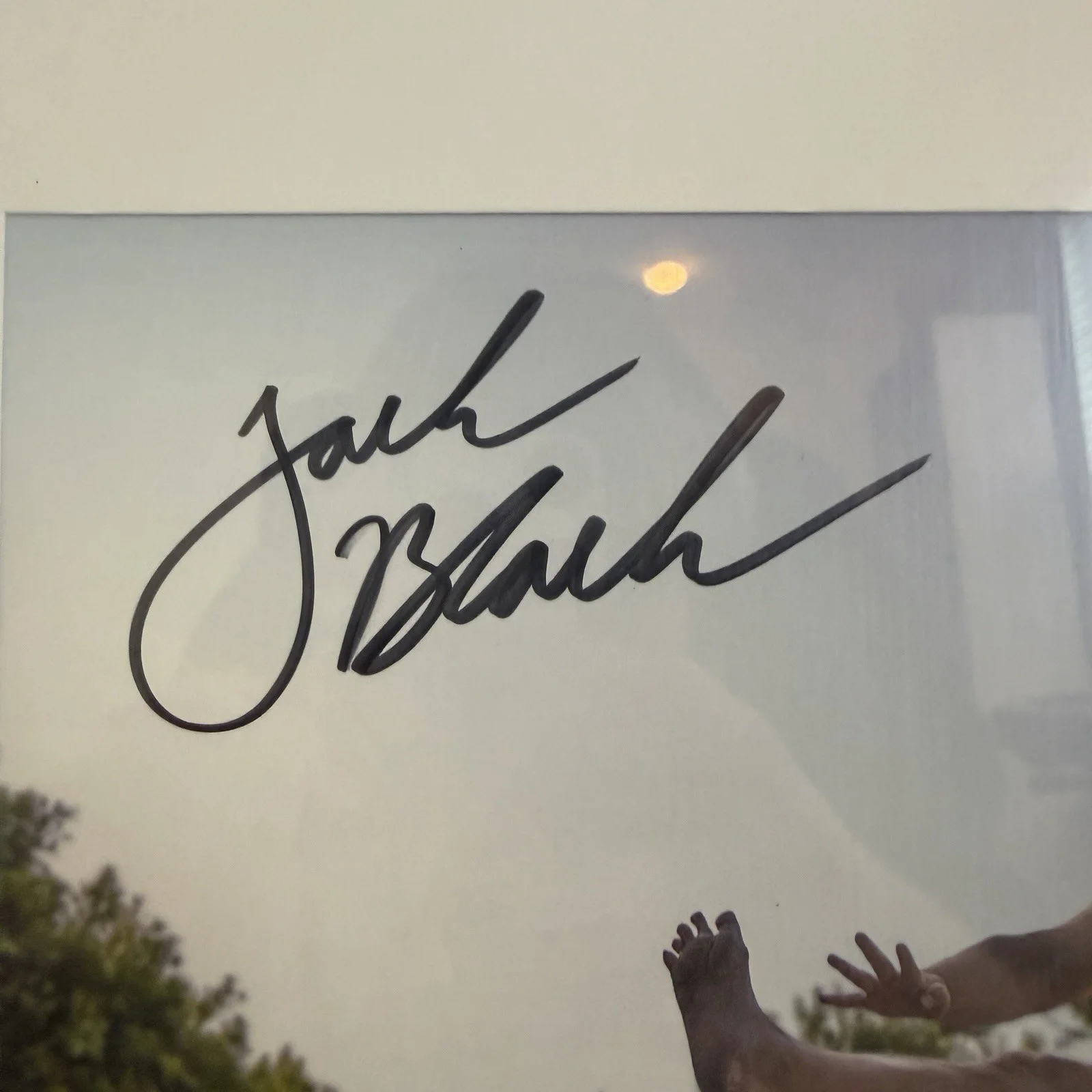Jack Black — Jack Black Signed Skateboarding Photo Framed Autograph NM Rare Charity Picture, изображение 4