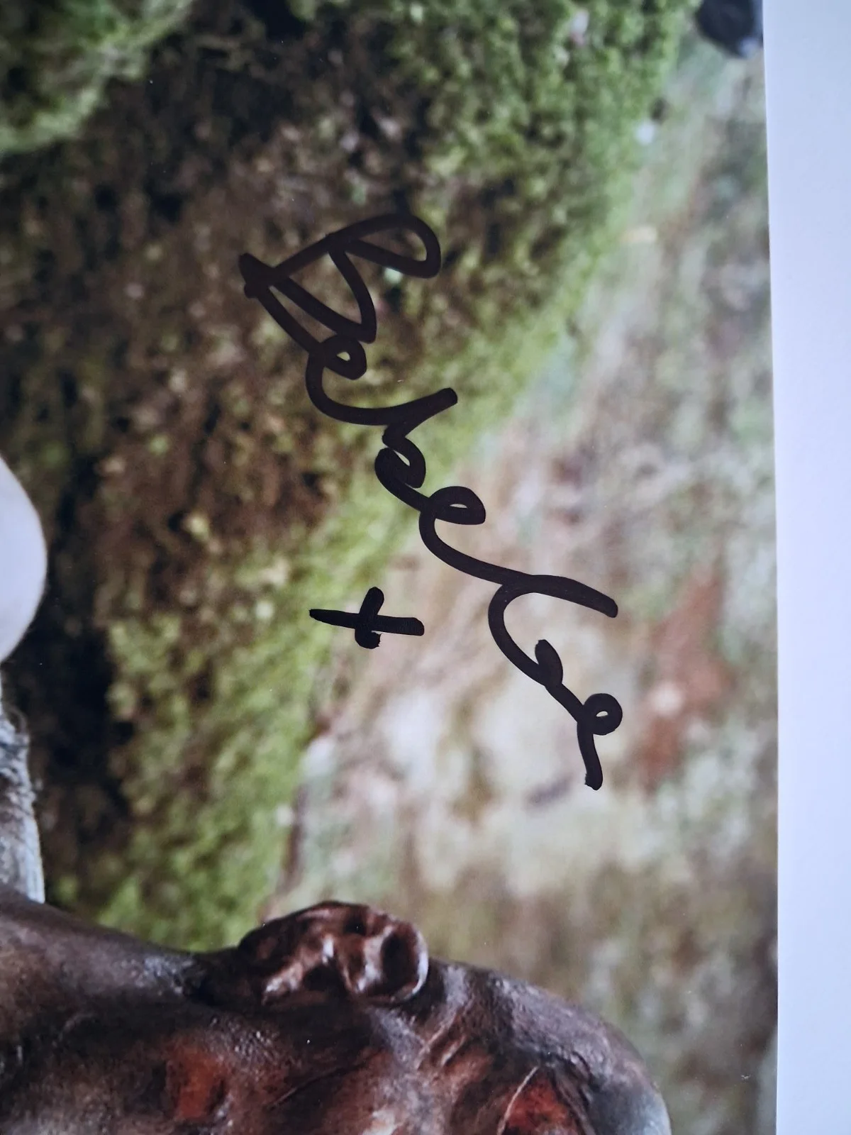 BEBE CAVE in TALE OF TALES - Genuine hand signed autograph 8x10 photo, изображение 2