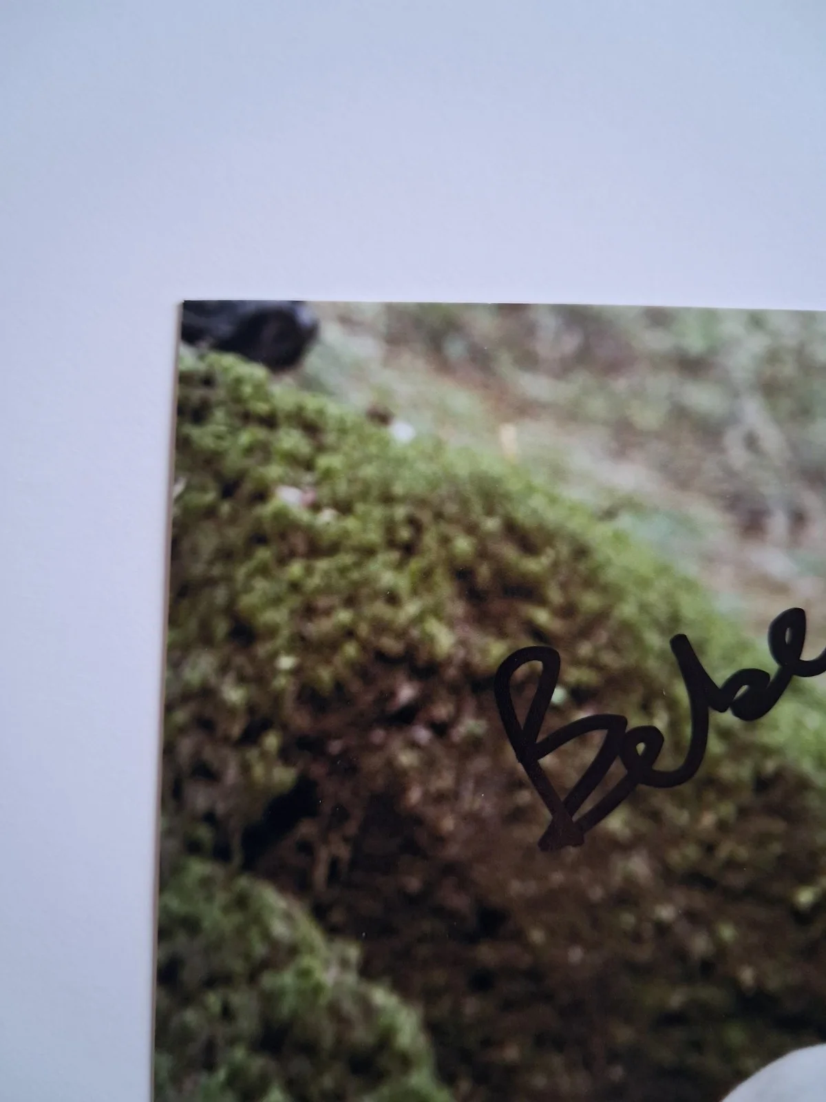 BEBE CAVE in TALE OF TALES - Genuine hand signed autograph 8x10 photo, изображение 4