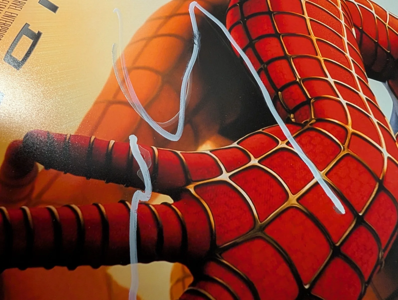 Sam Raimi Signed A3 Spider Man Poster Print Exact Video Proof, image 3