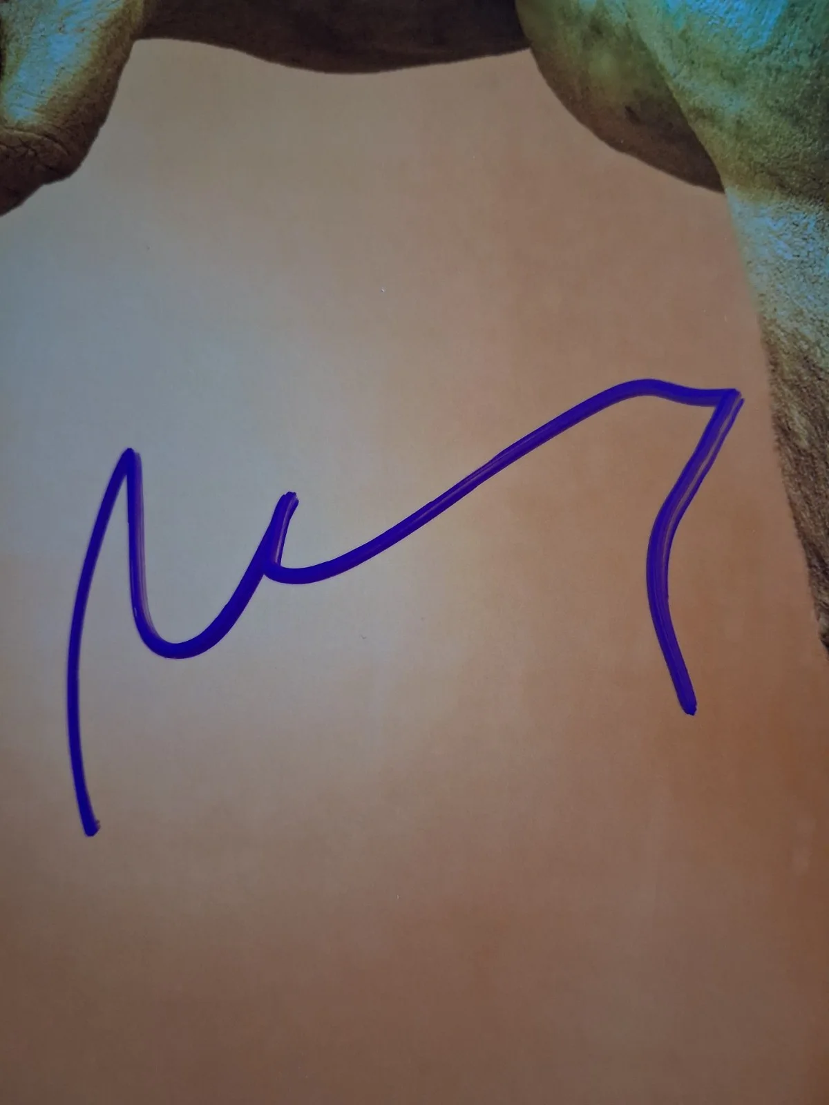 MARK RUFFALO - Genuine hand signed autograph 8x10 MARVEL HULK, image 2