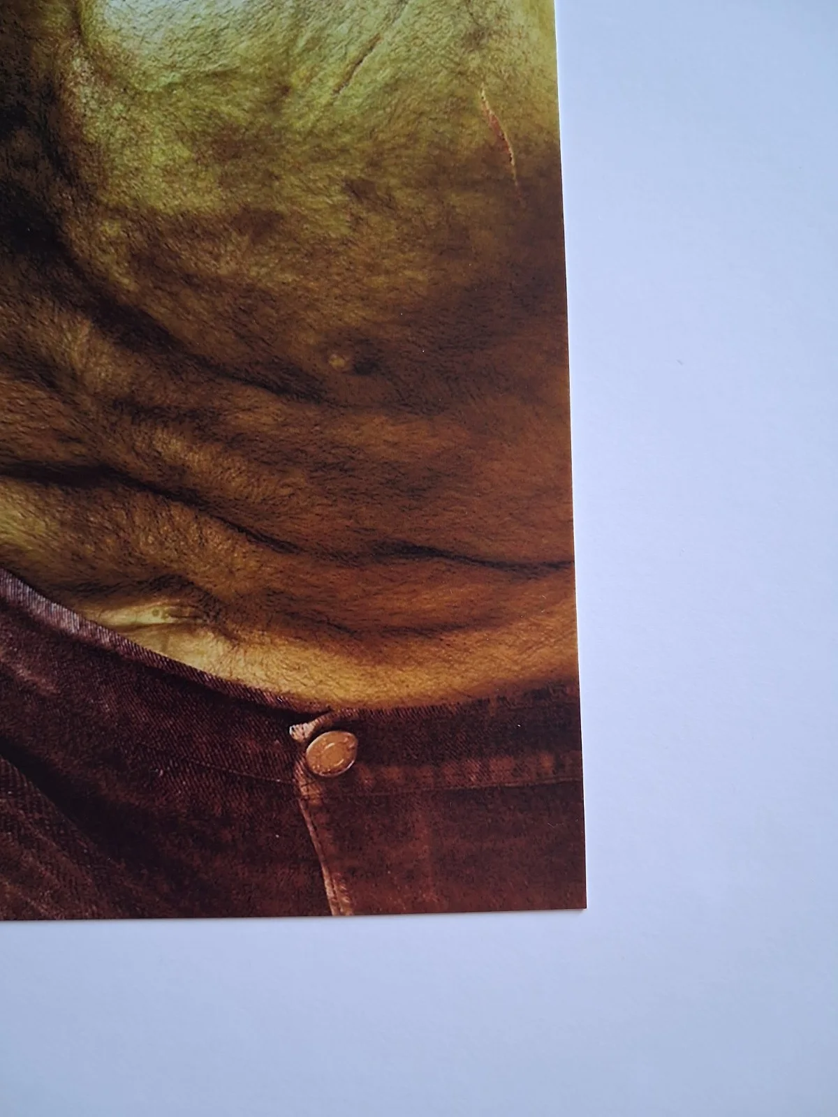 MARK RUFFALO - Genuine hand signed autograph 8x10 MARVEL HULK, image 5