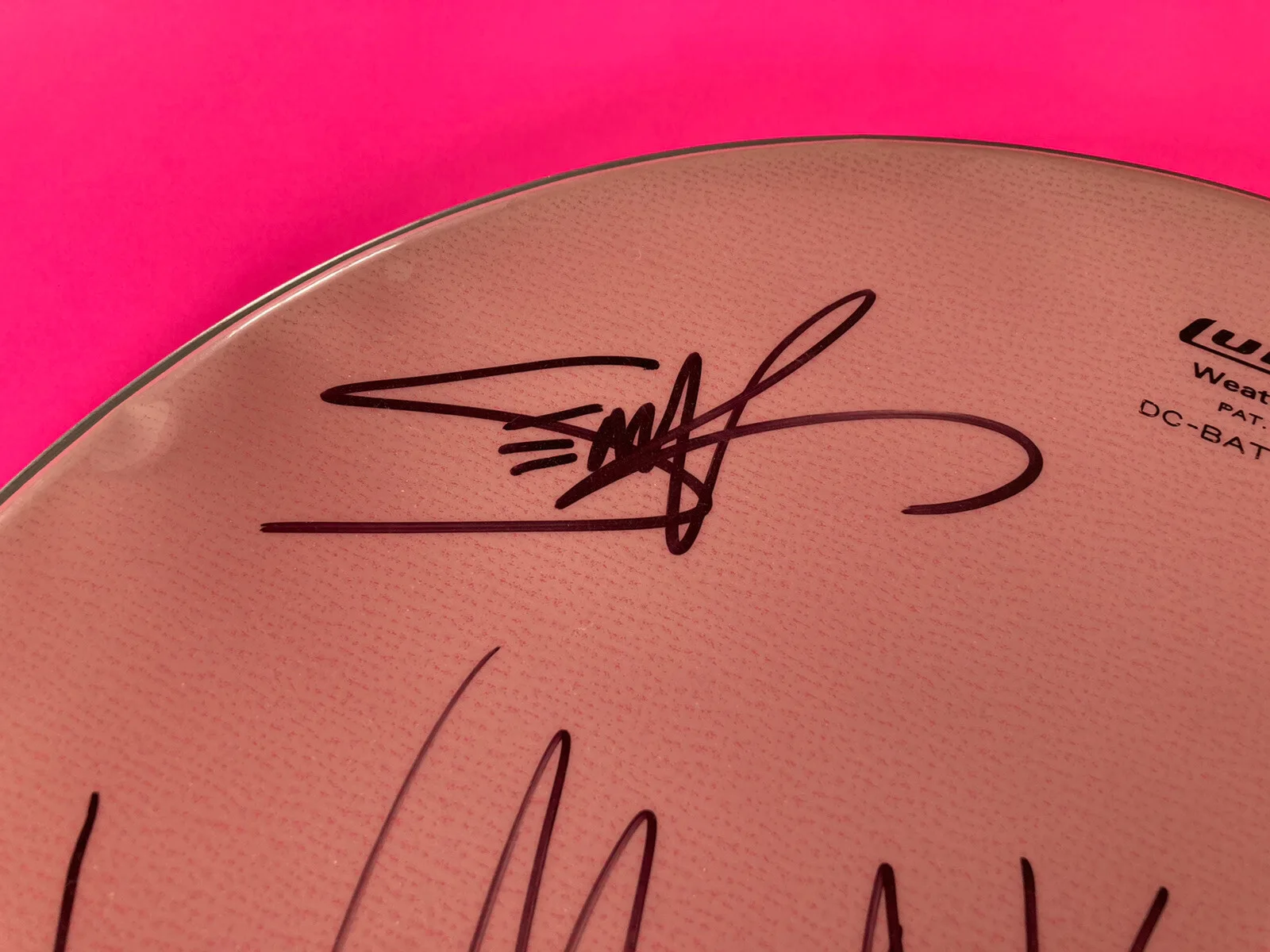 ALICE IN CHAINS x4 ENTIRE BAND SIGNED AUTOGRAPHED DRUMHEAD, image 3