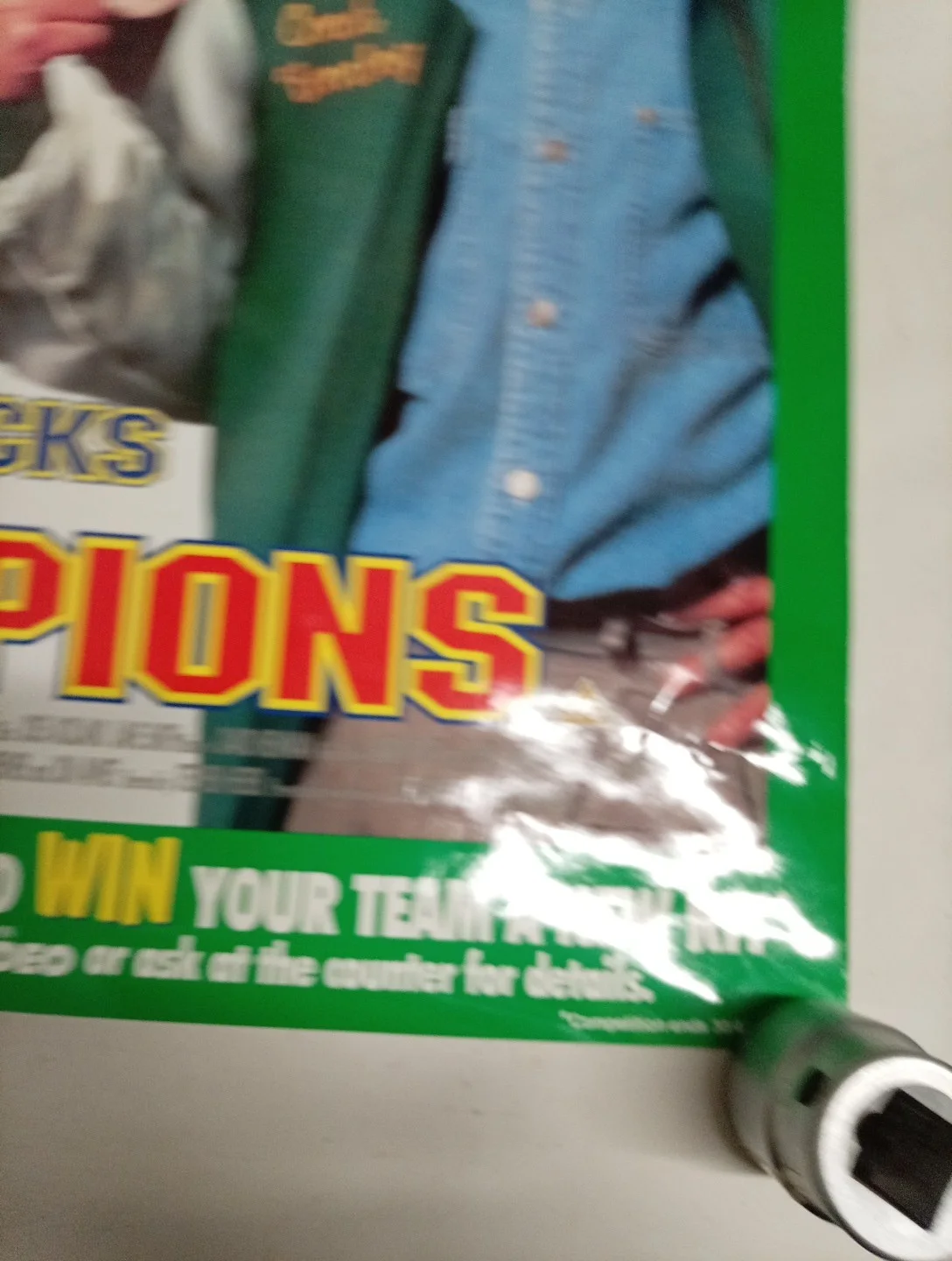 The Mighty Ducks Are The Champions Original Poster, image 4