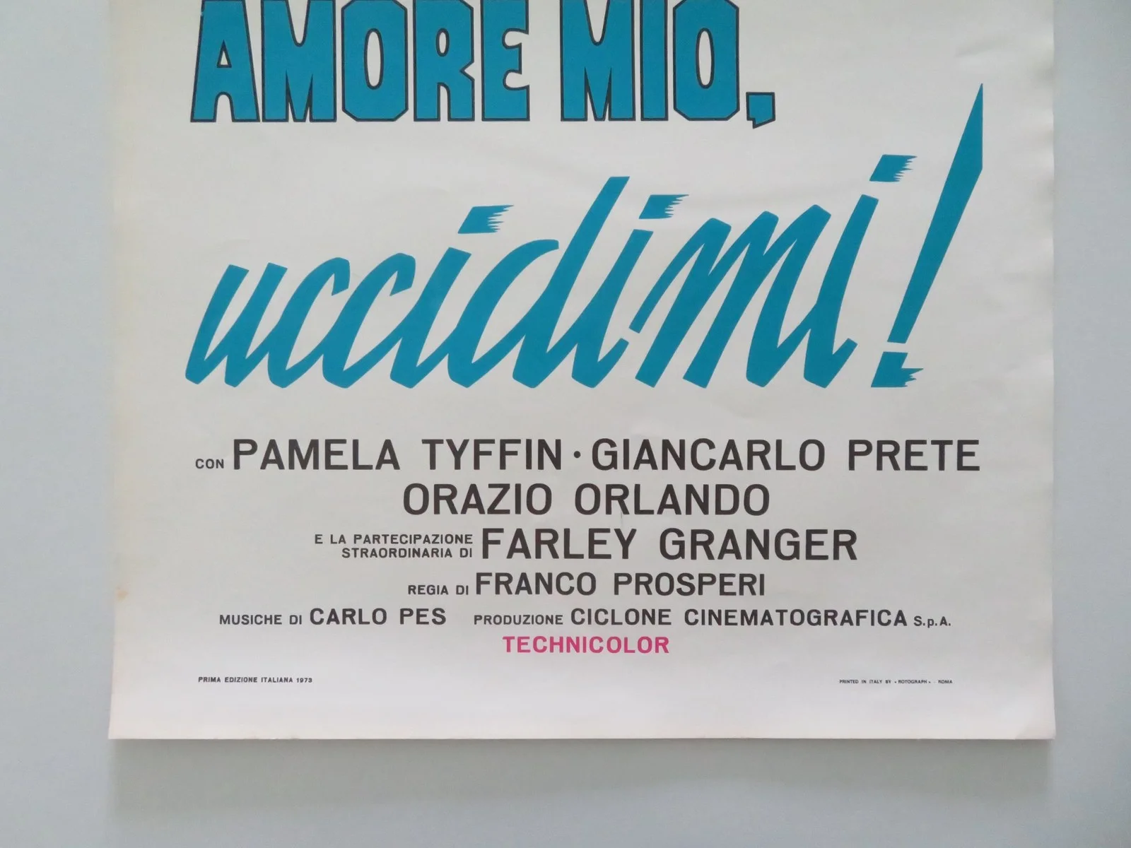 KILL ME, MY LOVE! ITALIAN LOCANDINA POSTER PAMELA TIFFIN FARLEY GRANGER 1973, изображение 4