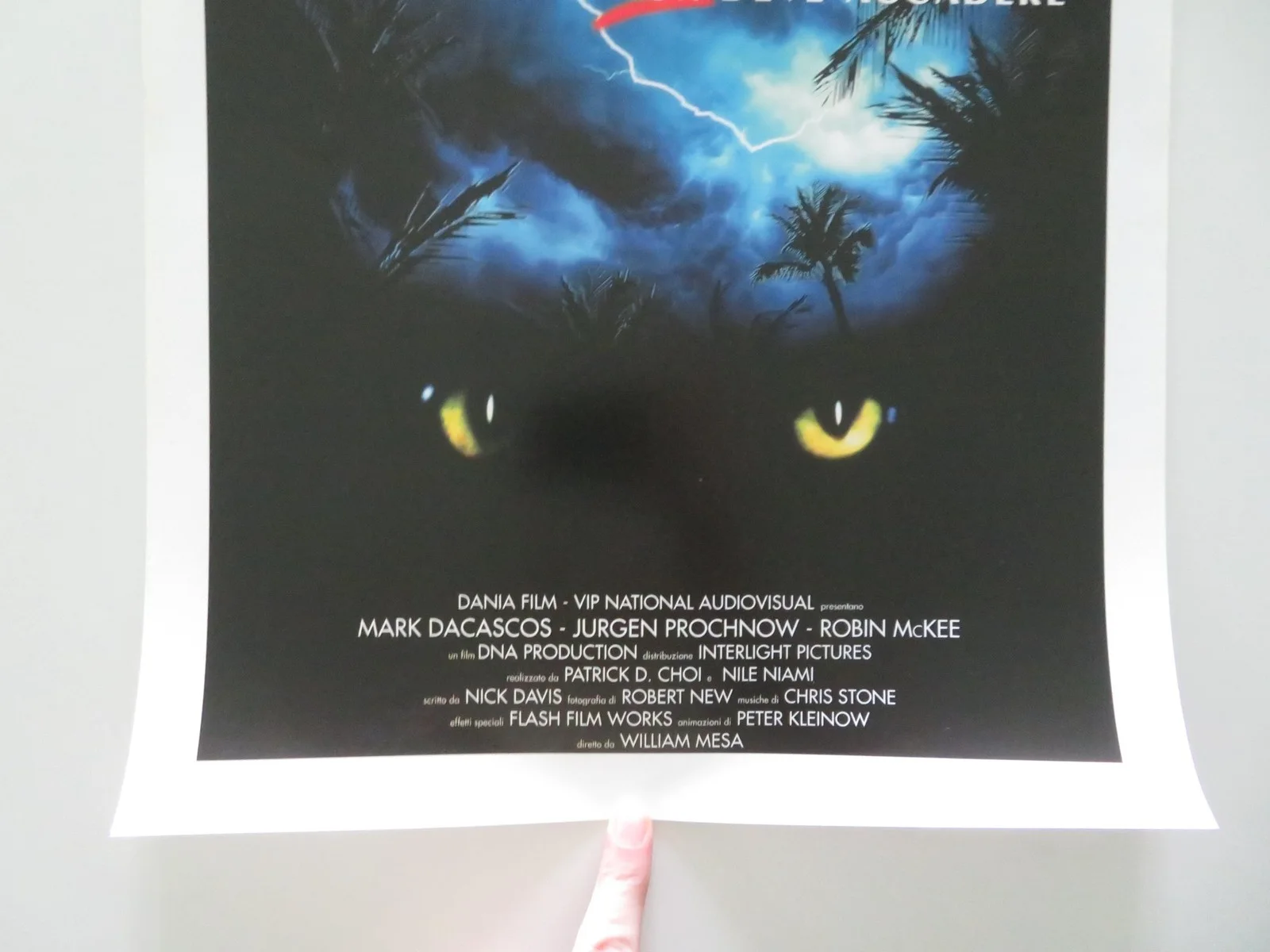 DNA ITALIAN LOCANDINA POSTER MARK DACASCOS JURGEN PROCHNOW 1996, изображение 4
