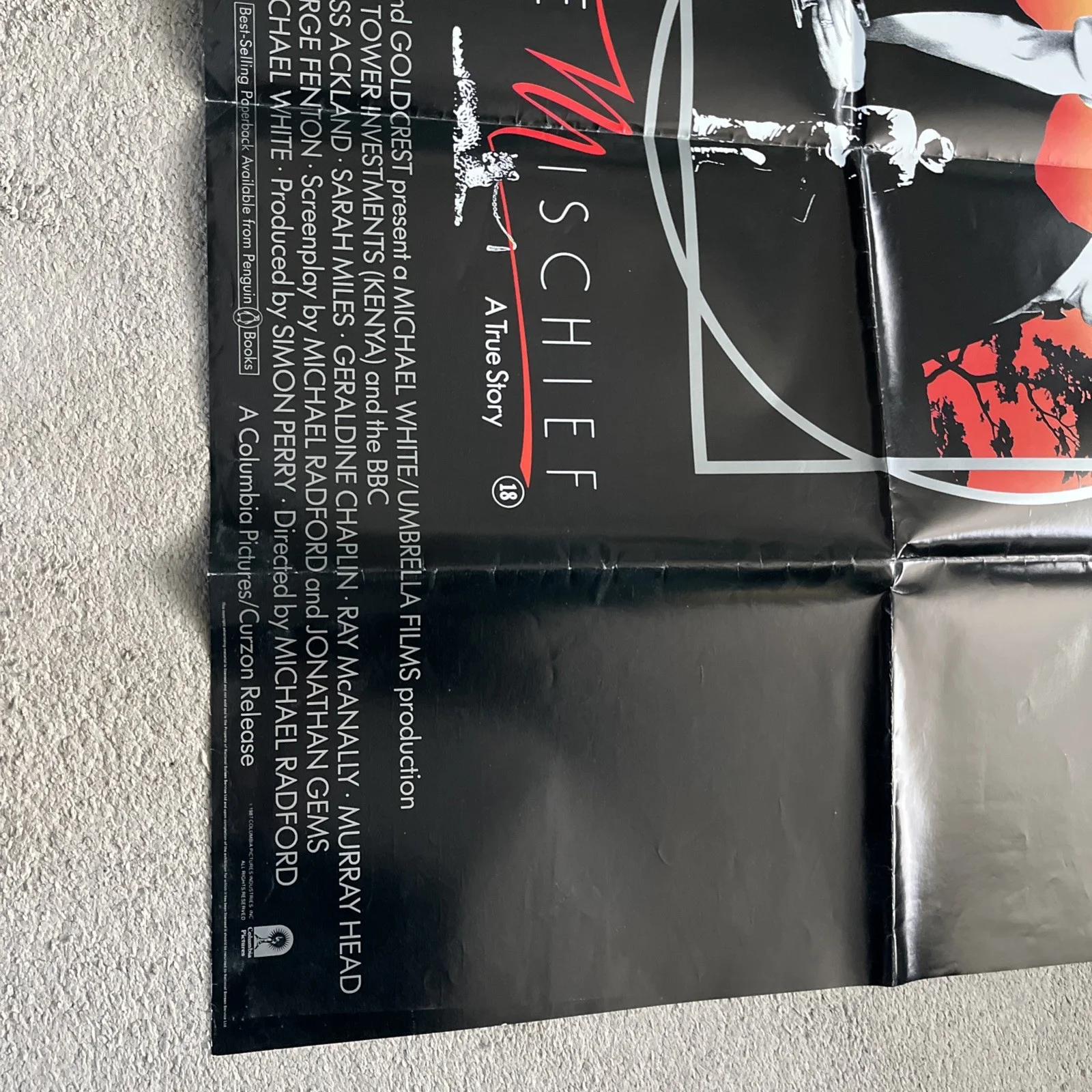 WHITE MISCHIEF (1988) original UK quad poster - Greta Scacchi, Charles Dance, изображение 5