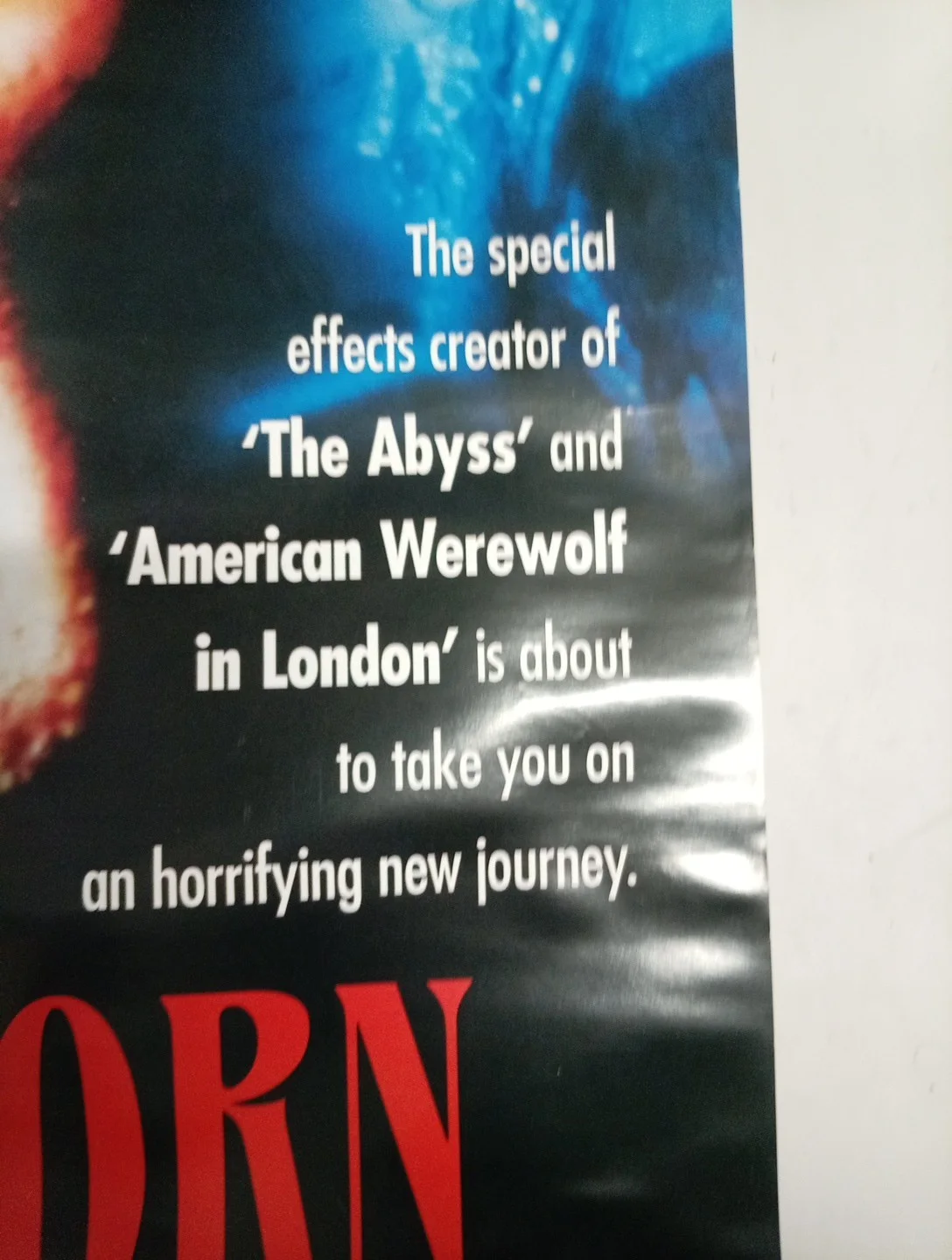 HELLBORN / NIGHT ANGEL VHS VIDEO POSTER KAREN BLACK LINDEN ASHBY 1990, image 4