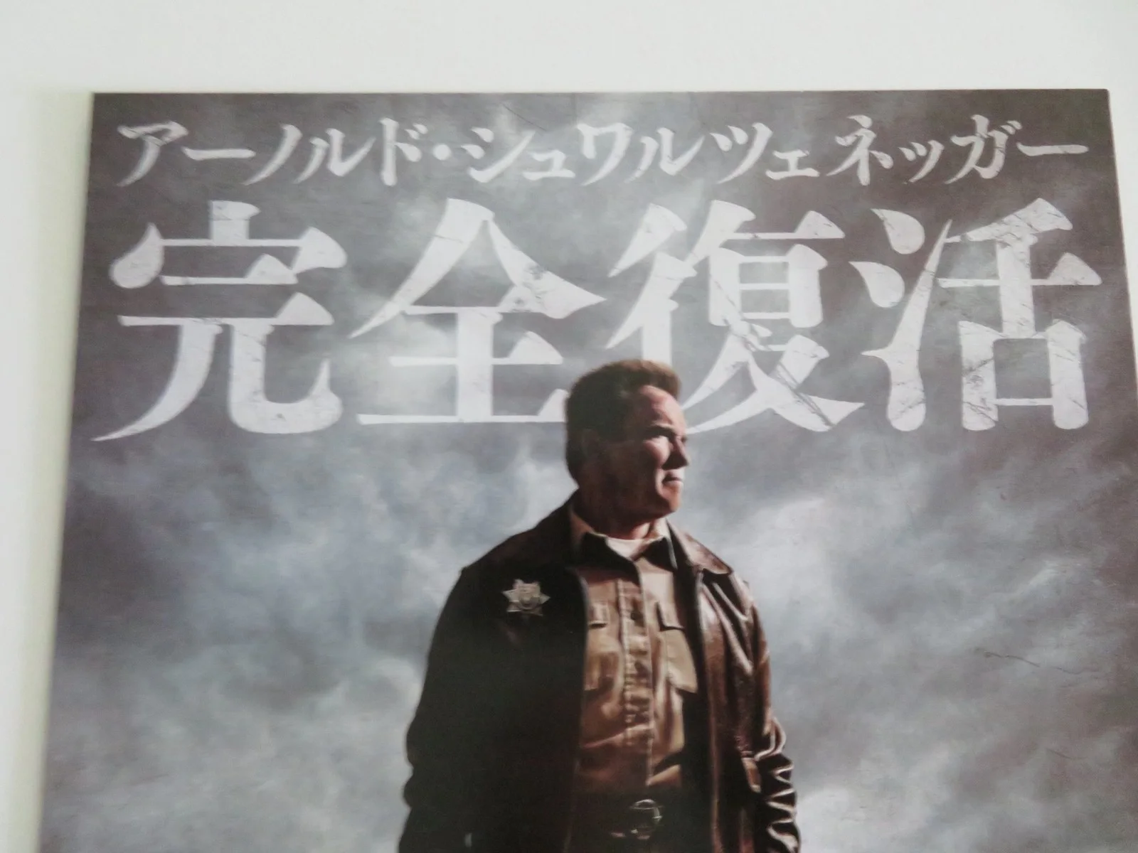 THE LAST STAND - B JAPANESE CHIRASHI (B5) POSTER ARNOLD SCHWARZENEGGER 2013, image 2