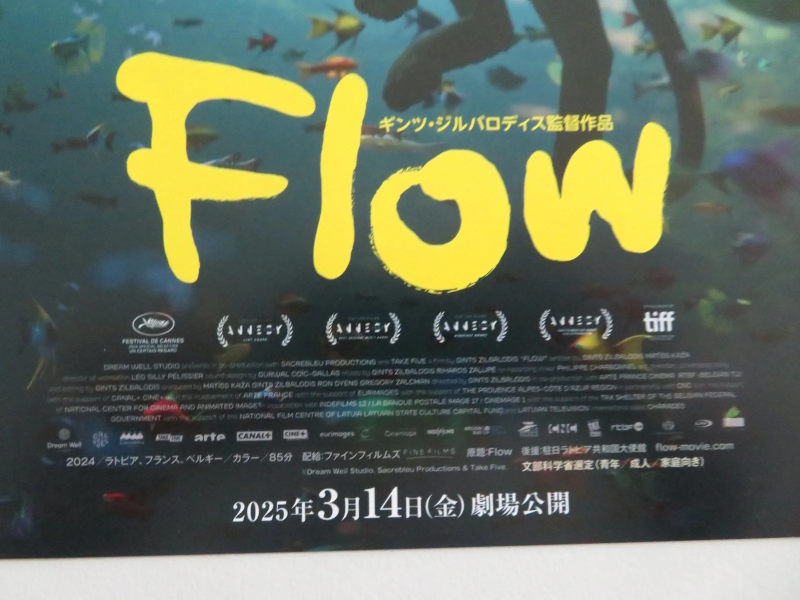 FLOW - A JAPANESE CHIRASHI (B5) POSTER GINTS ZILBALODIS THOMAS OLDMAN 2024, image 2