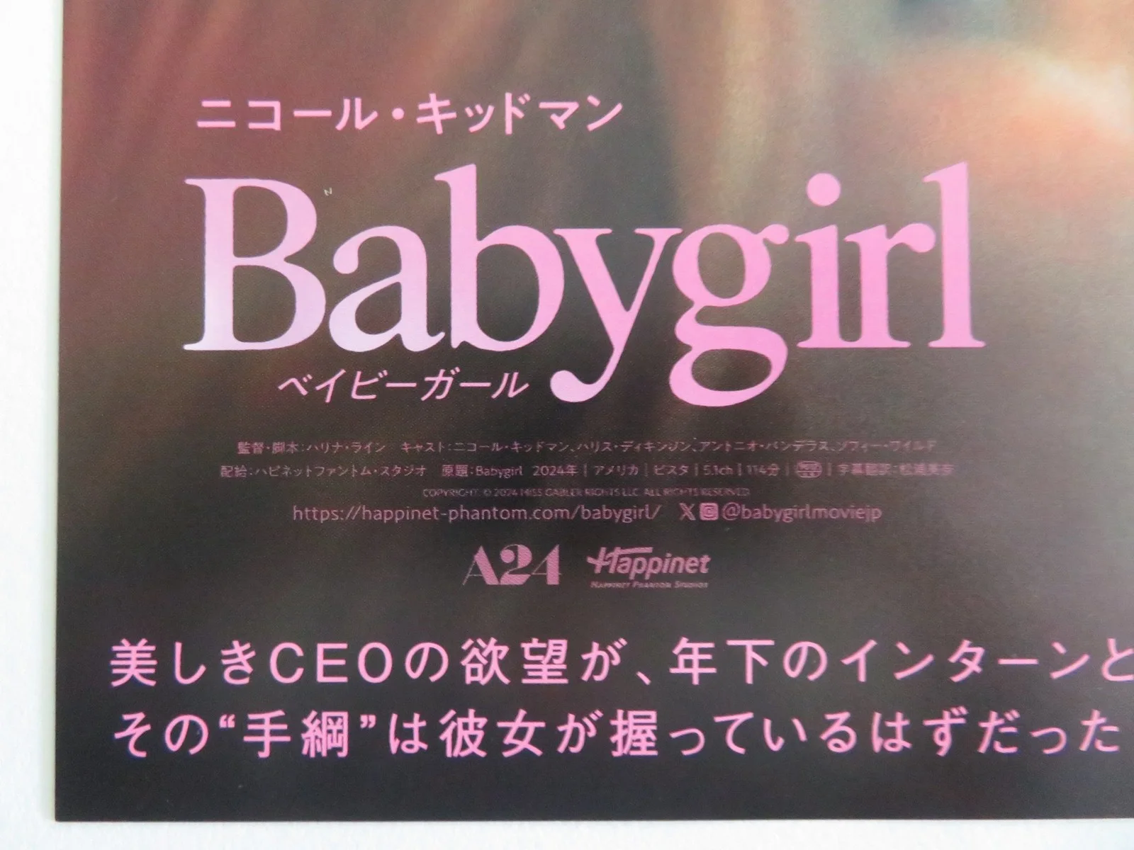 BABYGIRL JAPANESE CHIRASHI (B5) POSTER NICOLE KIDMAN HARRIS DICKINSON 2024, изображение 2