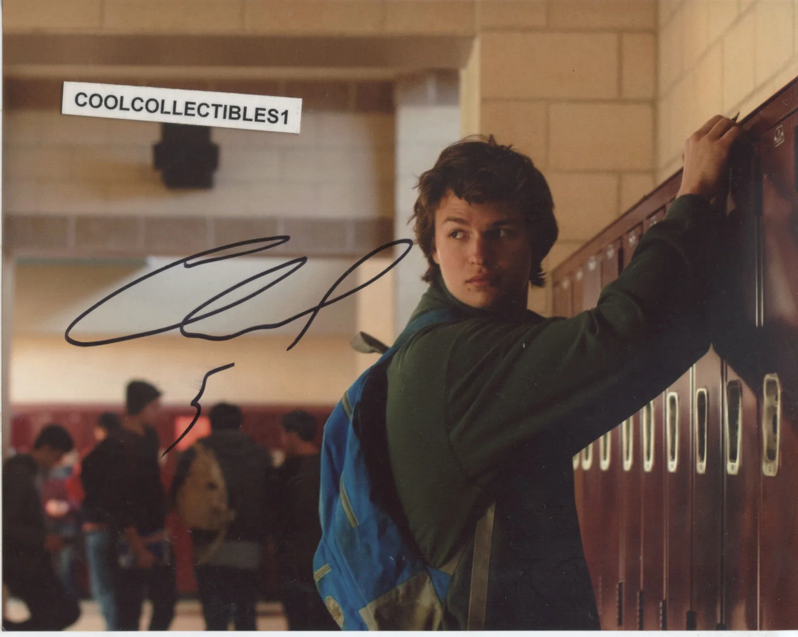 ANSEL ELGORT — ANSEL ELGORT IN PERSON SIGNED 8X10 COLOR PHOTO "PROOF" COA