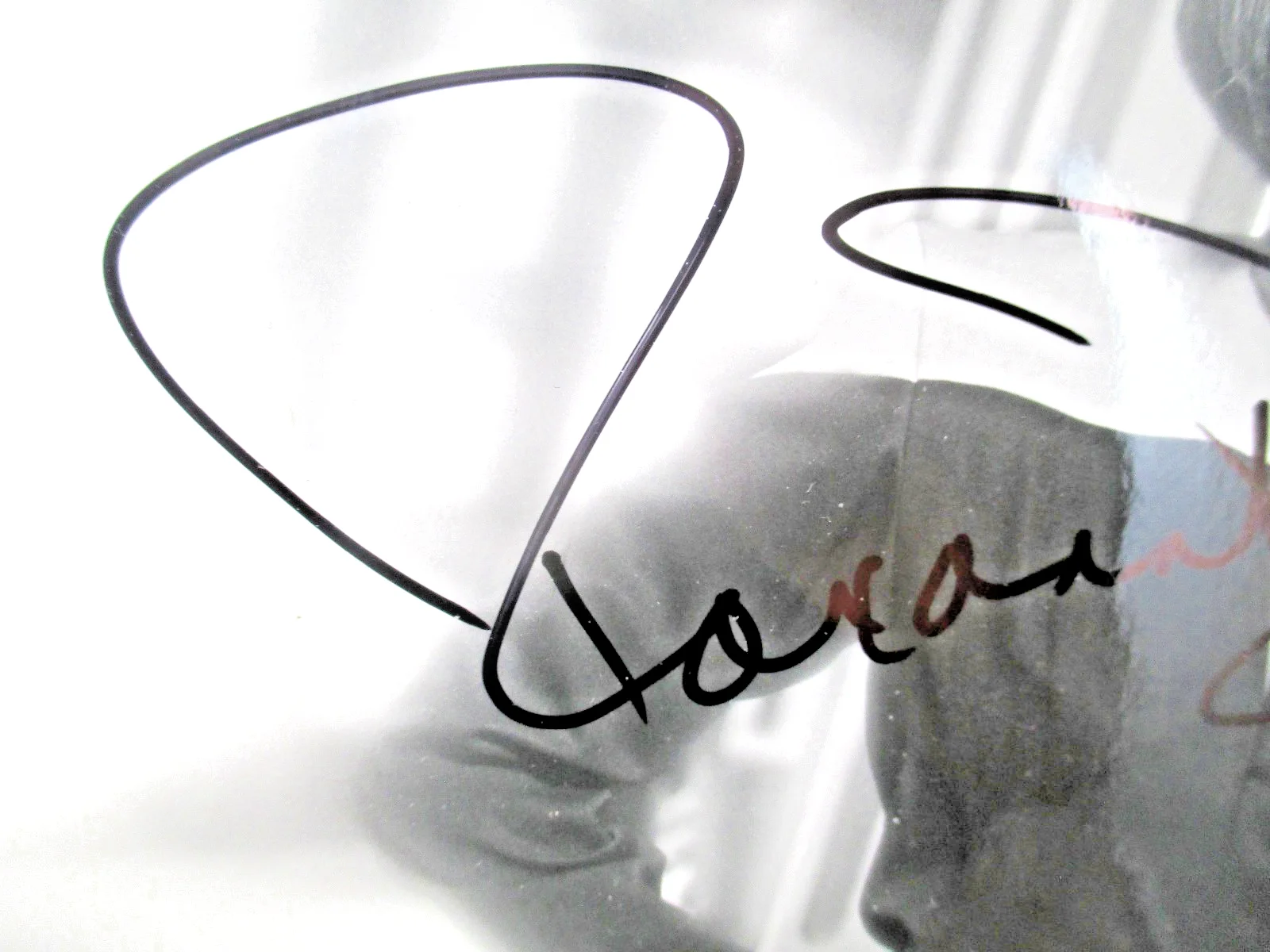 Roxann Dawson — ROXANN DAWSON (STAR TREK VOYAGER) AUTOGRAPHED 8 x 10 PHOTO~, изображение 3