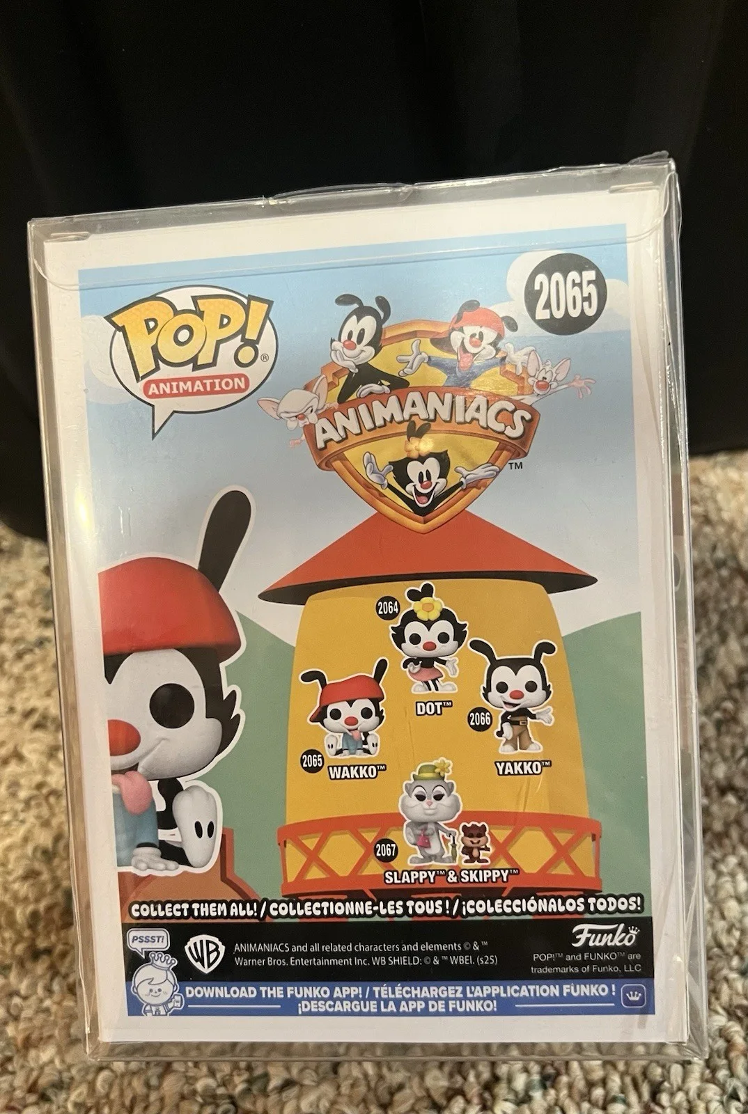 Jess Harnell — Jess Harnell Autographed Wakko Cartoon Animaniacs Funko Pop #2065 OC Marketing, изображение 3