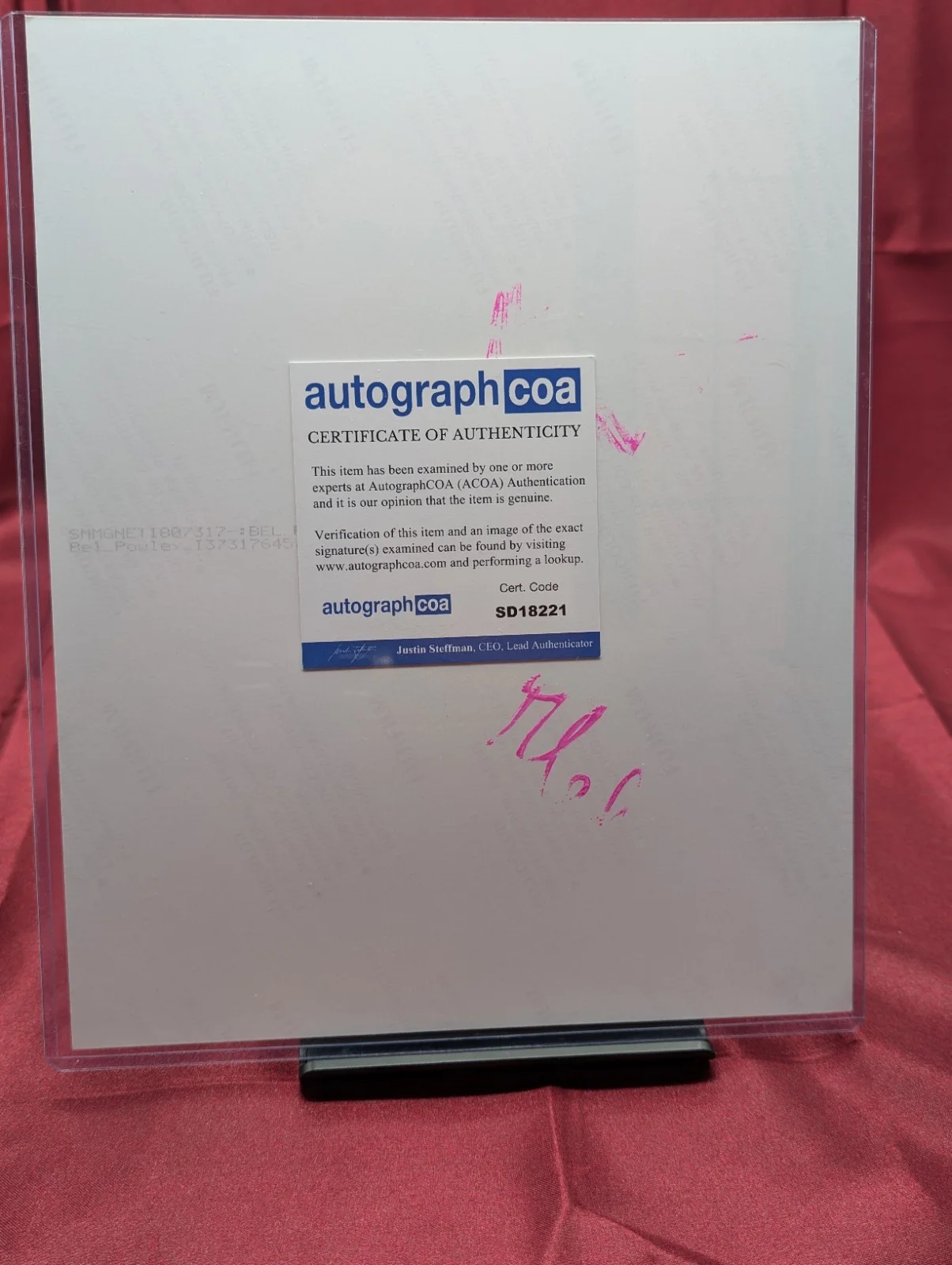 Bel Powley Signed 8x10 Photograph 🫆COA, image 2