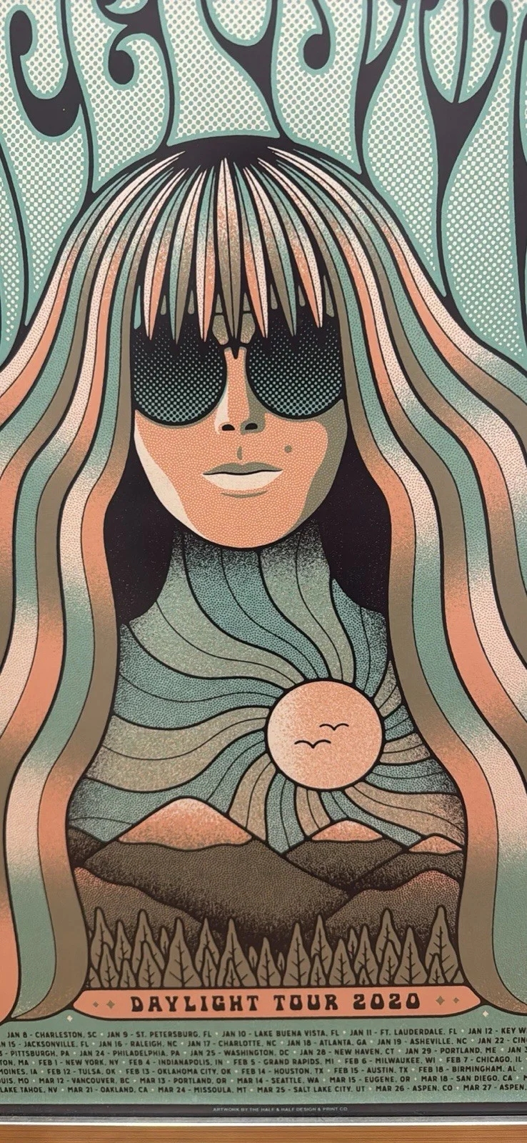 Grace Potter Daylight Tour 2020 Poster Professionally Framed, image 2