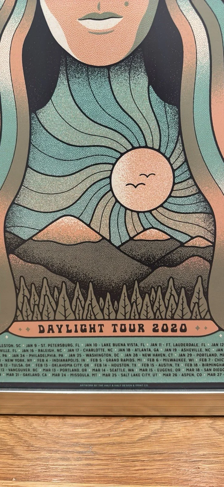 Grace Potter Daylight Tour 2020 Poster Professionally Framed, image 5