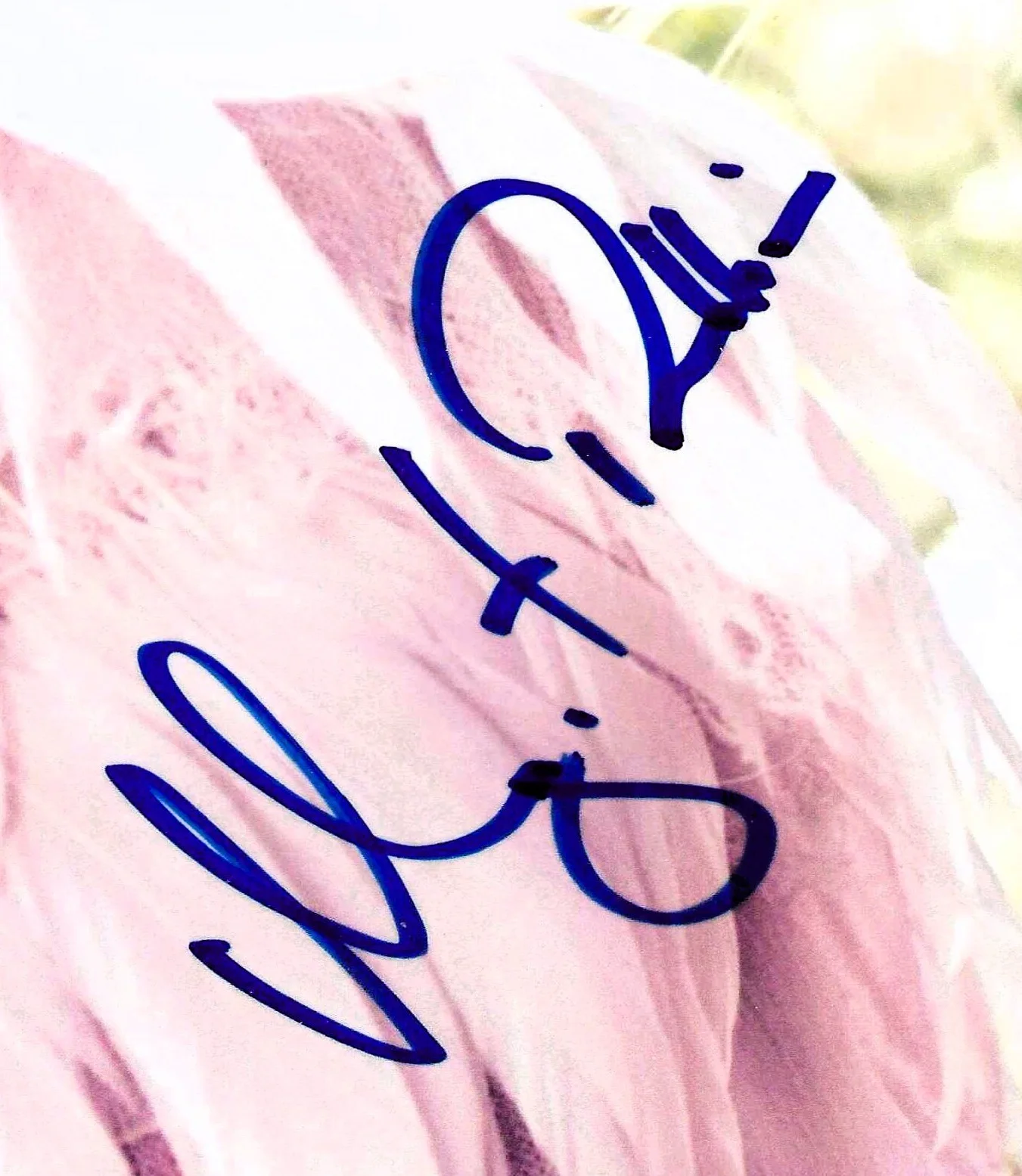 MARGOT ROBBIE — MARGOT ROBBIE signed 8x12 appears as BARBIE, Harley Quinn - Suicide Squad UNIQUE, изображение 2