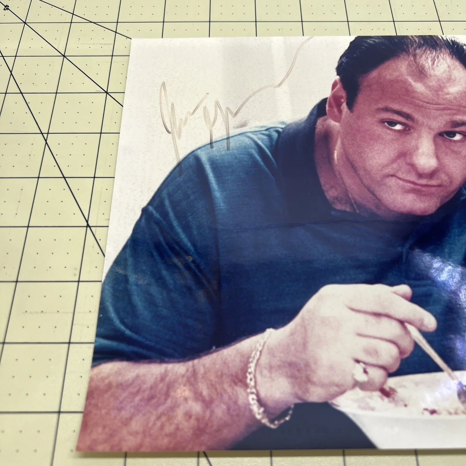 James Gandolfini Signed Tony Sopranos Photo, image 2