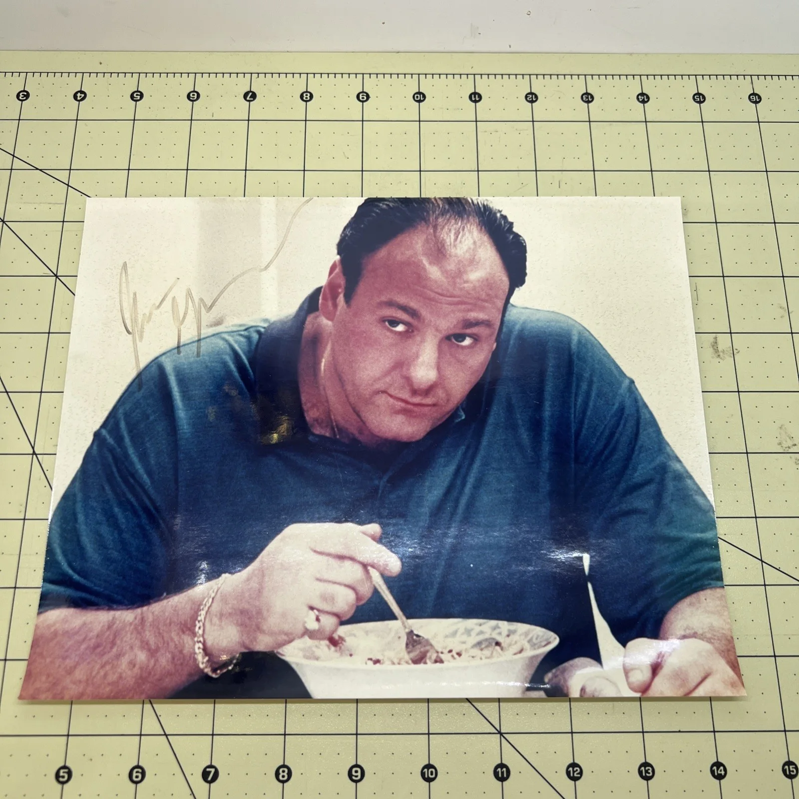 James Gandolfini Signed Tony Sopranos Photo, image 5