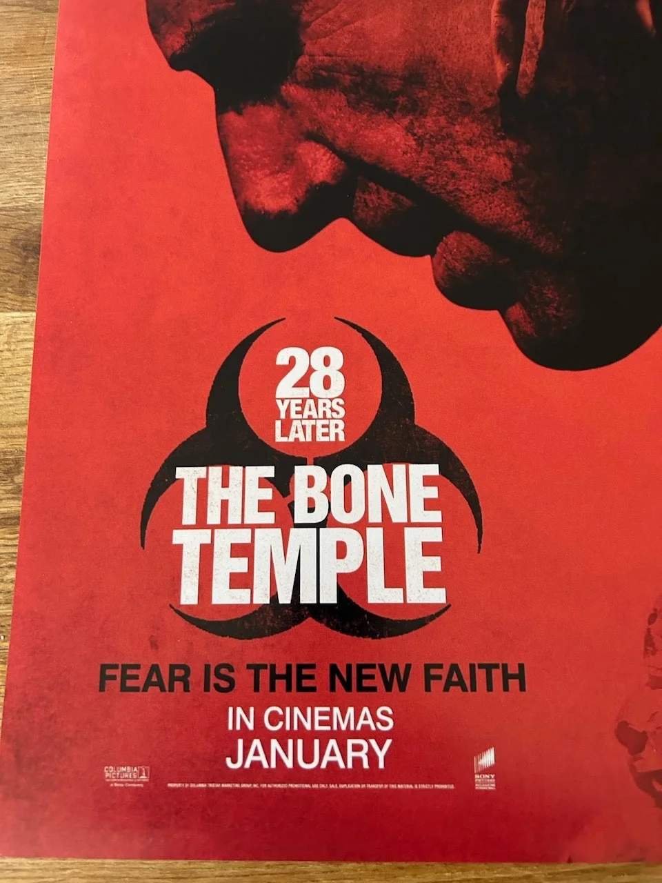 Poster 28 Years Later The Bone Temple size 430mm x 640mm, изображение 5