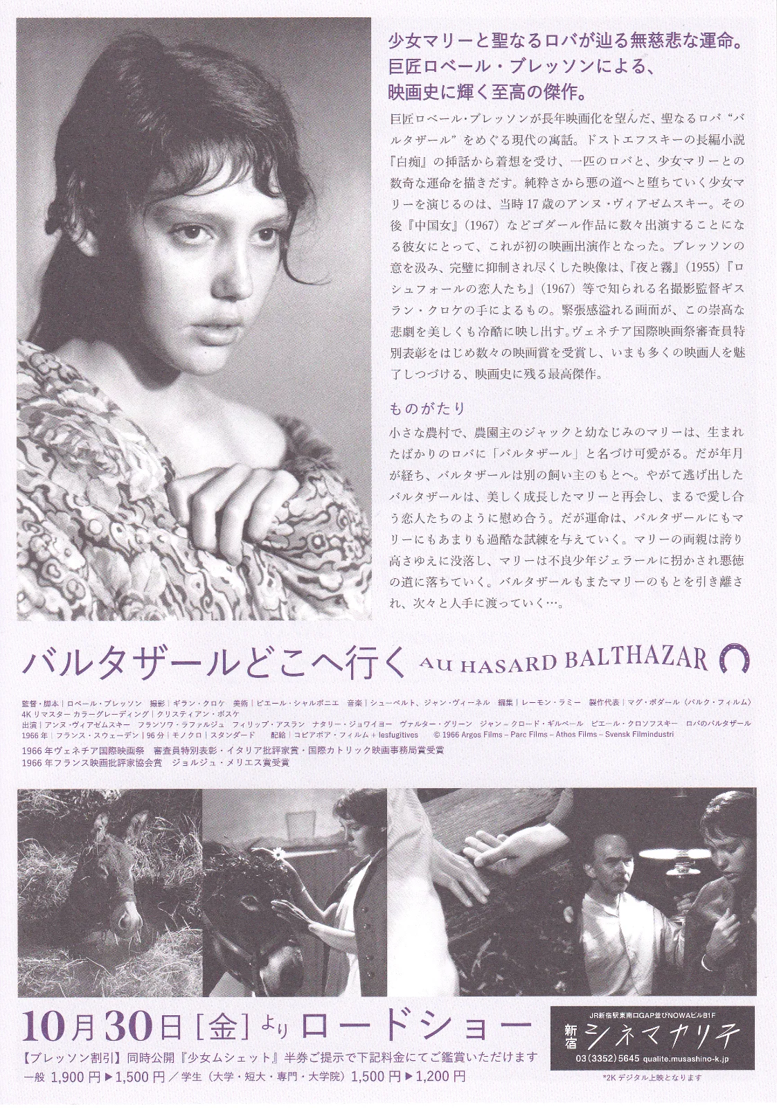 Au Hasard Balthazar - Robert Bresson Japan B5 Chirashi Mini Poster/Flyer (2021), image 2