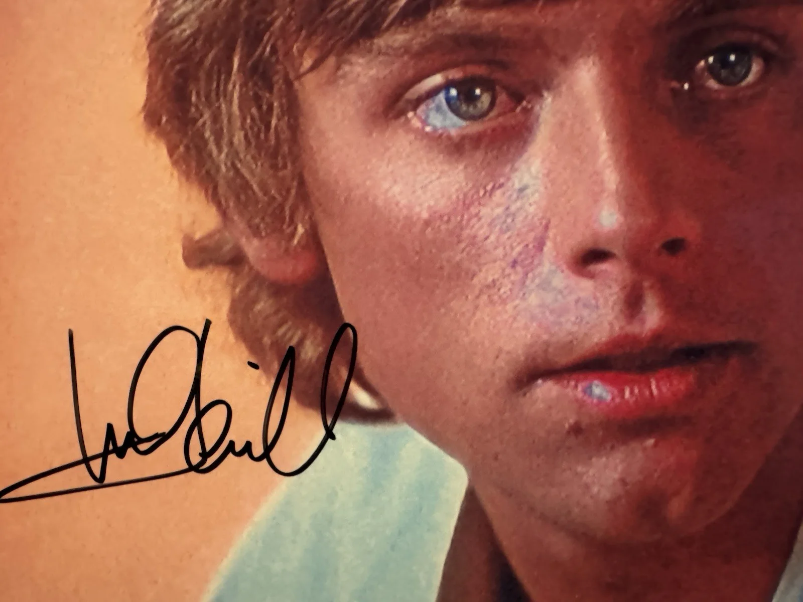 MARK HAMILL Signed 8x10 photo STAR WARS Luke Skywalker COA, image 2