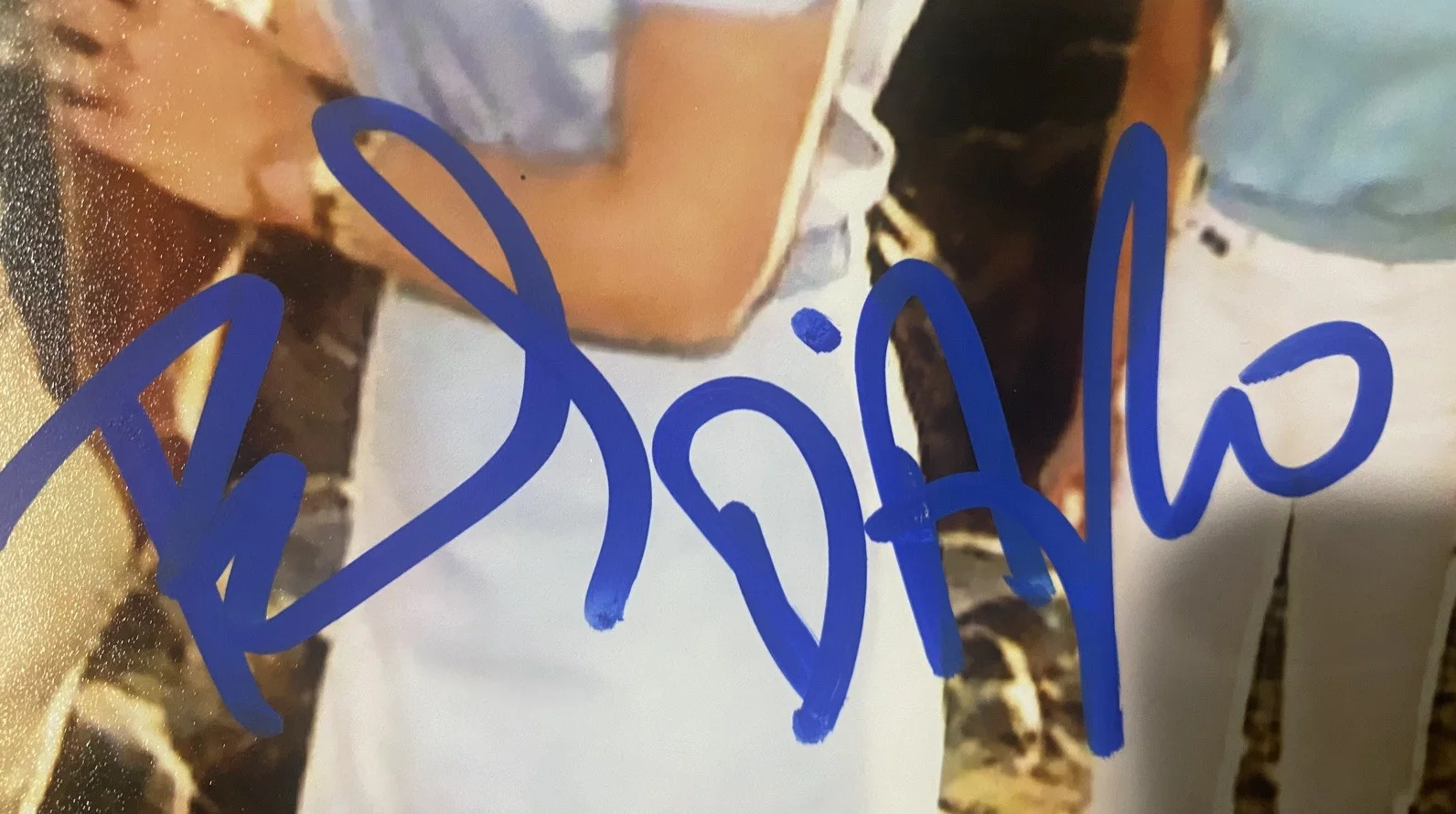 Beverly D'Angelo Signed Autographed 8x10 Photo JSA vacation chase - blurry image, image 4