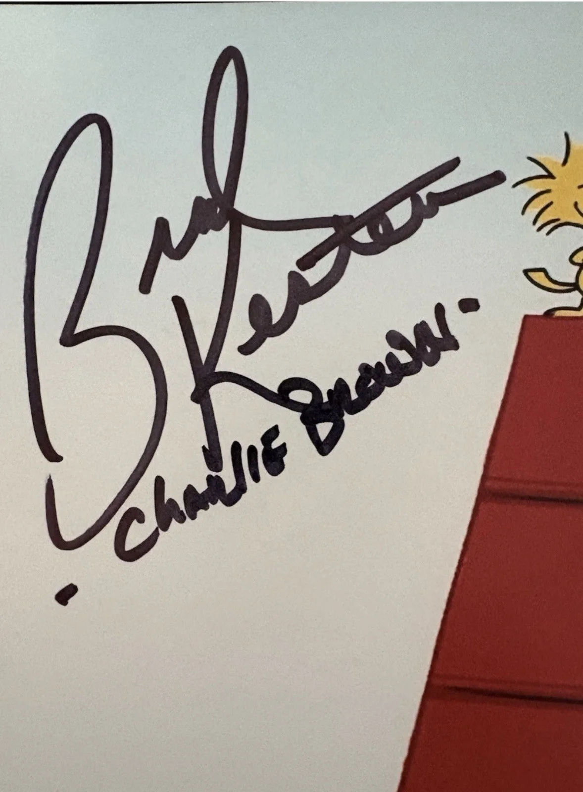 BRAD KESTEN — BRAD KESTEN Signed PEANUTS 8x10 Photo CHARLIE BROWN Autograph W/ COA JSA, изображение 2