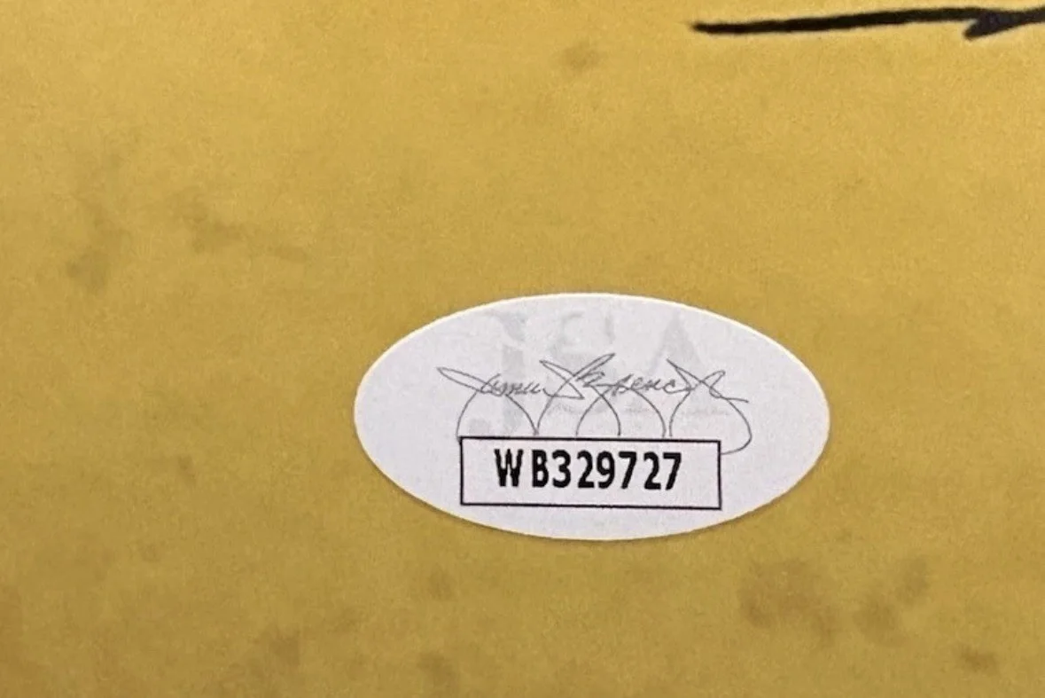 BRAD KESTEN — BRAD KESTEN Signed PEANUTS 8x10 Photo CHARLIE BROWN Autograph W/ COA JSA, изображение 3