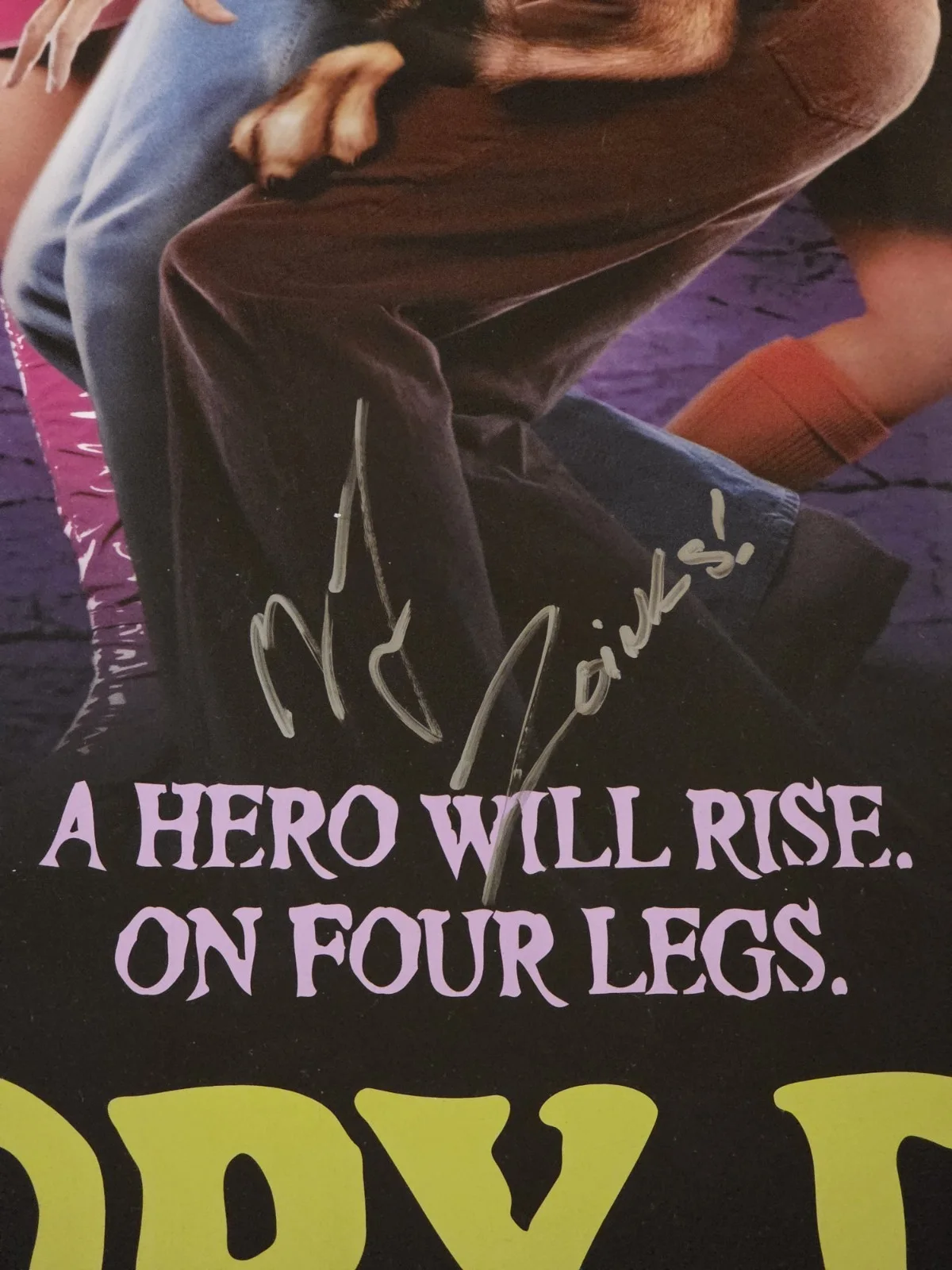 Matthew Lillard — Matthew Lillard Signed 27x40 Original Scooby Doo Movie Poster Autograph JSA, image 2